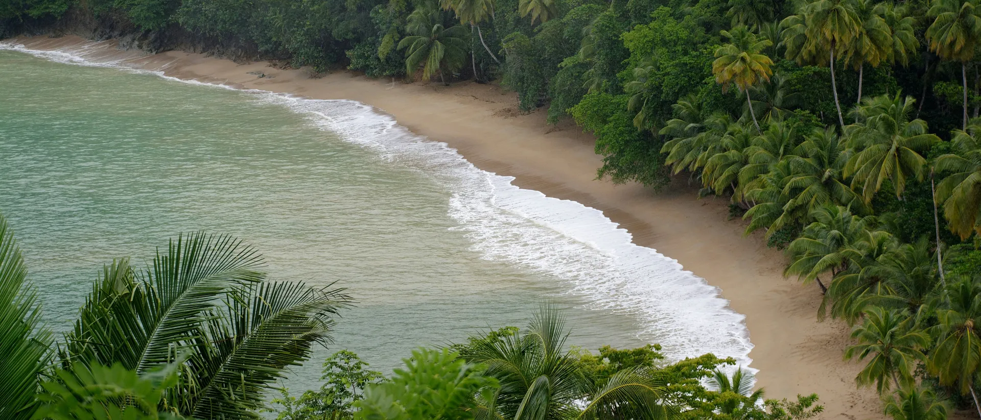 Caribbean & Guyana  in $290s-$380s RT