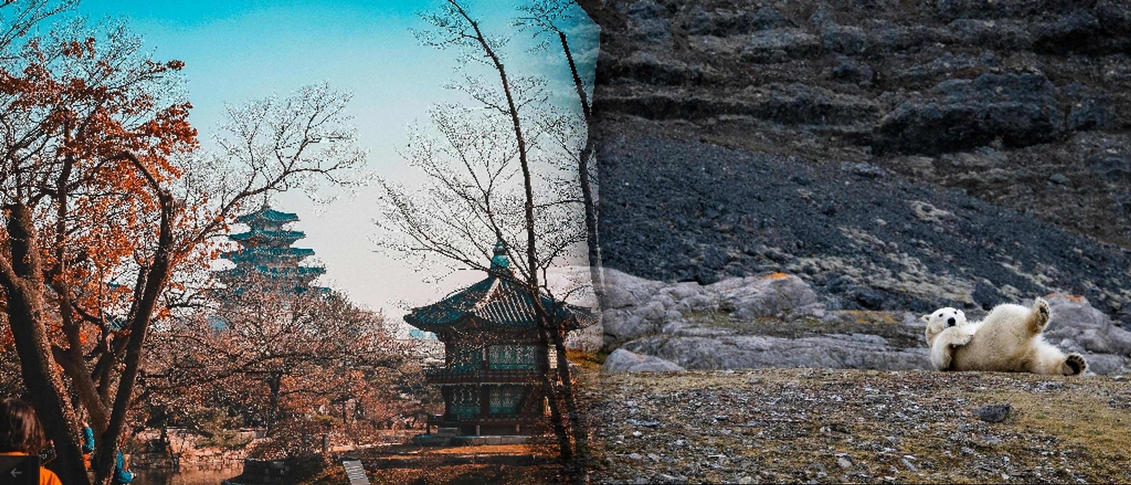 Scandinavia, South Korea, & the US 🌏 in £80s-£400s & €130s-€490s rtn