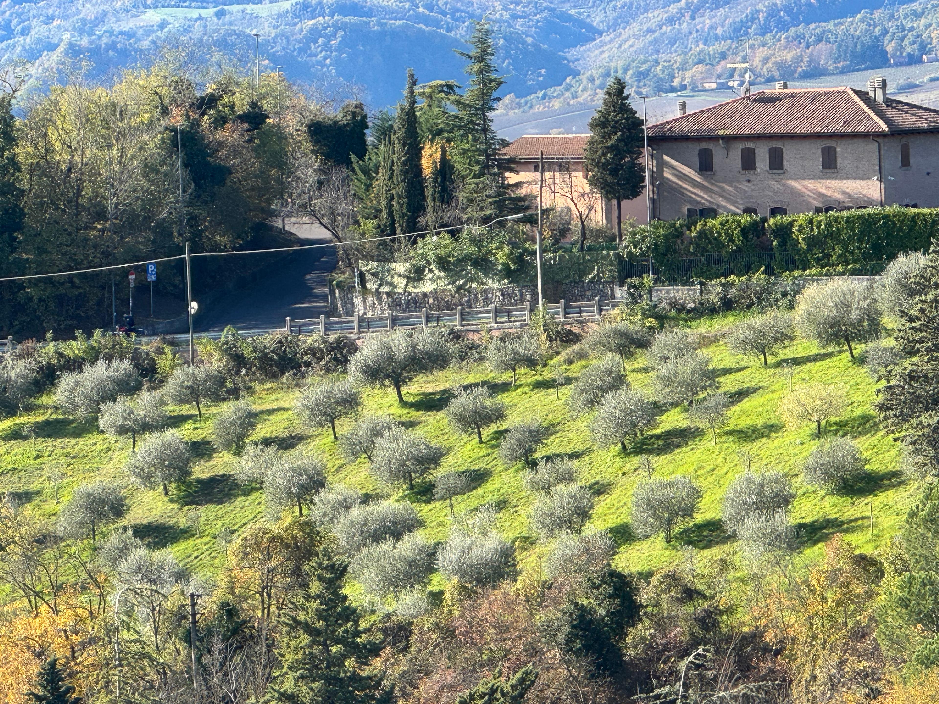 A roundtrip fare from PDX to Rome for only $500. Of course I had to go!
