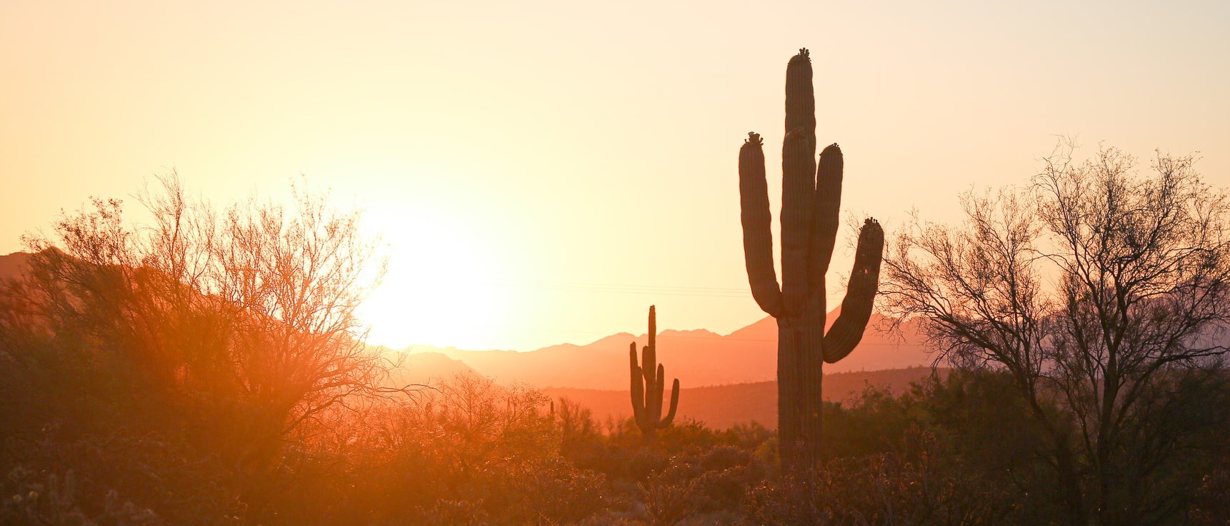 North America 🛣 in $230s-$420s RT