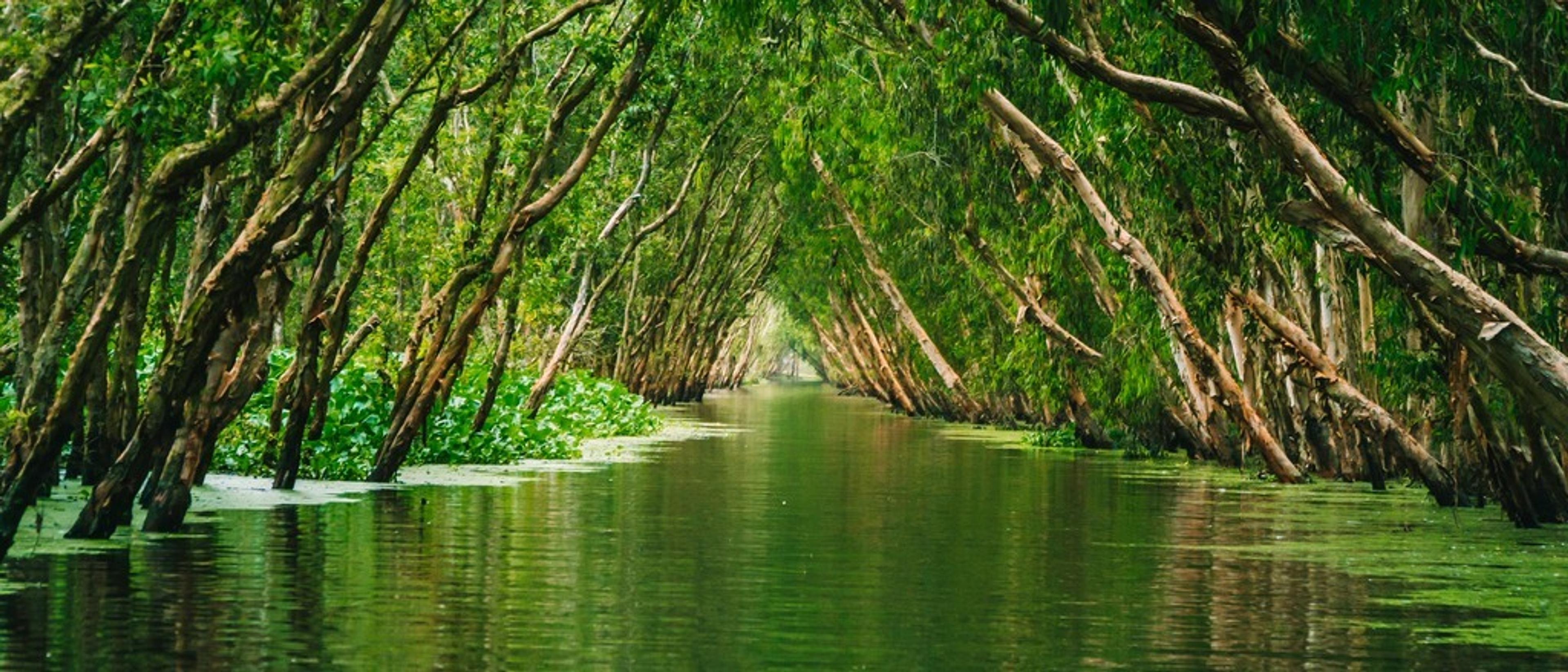 Vietnam 🌿 in €500s-€690s rtn 