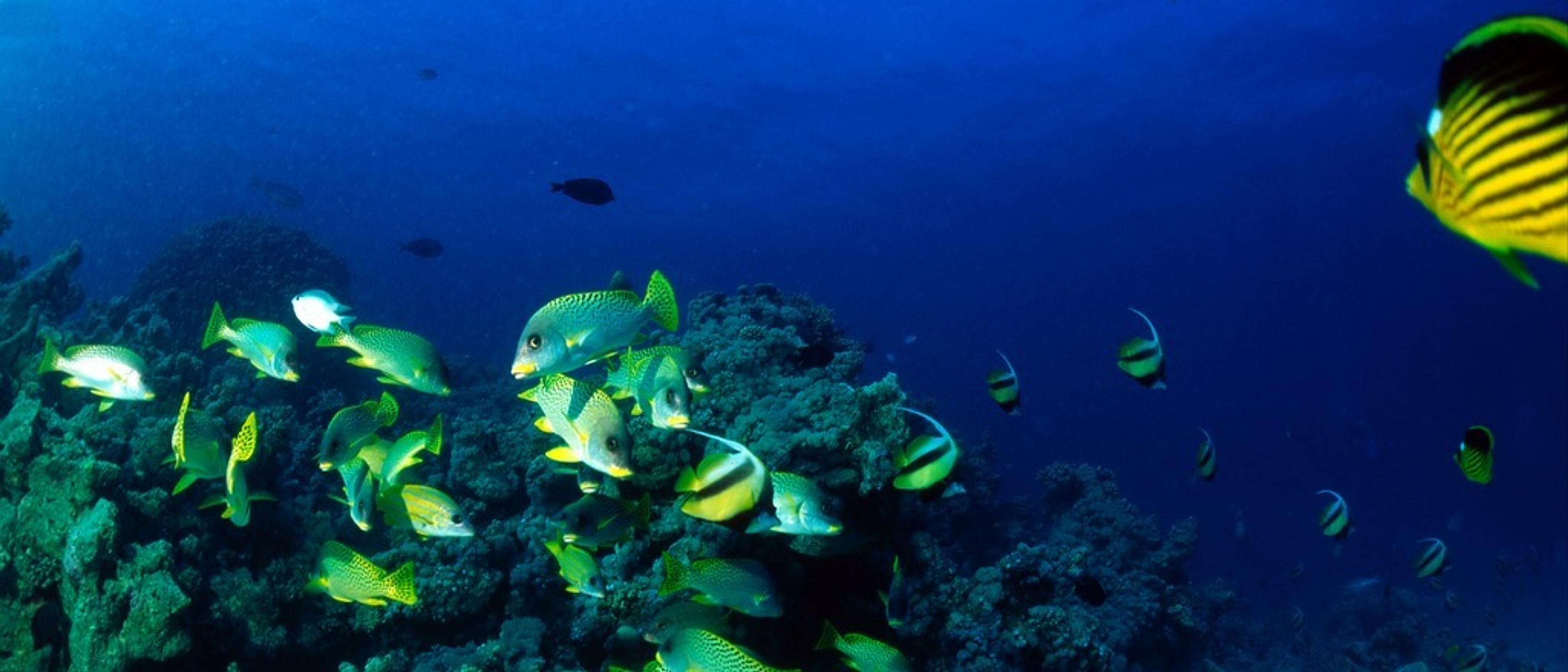 Hurghada & Sharm El-Sheikh ☀️ at £186-£219 rtn