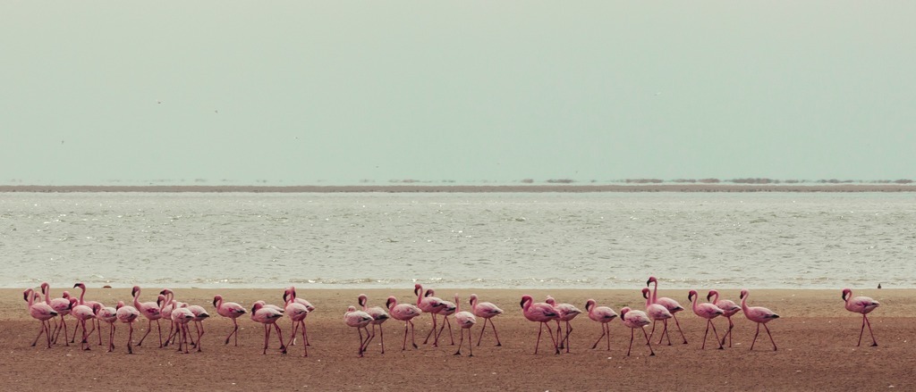 *Easter* Windhoek  in £420s-£430s rtn from London/Manchester