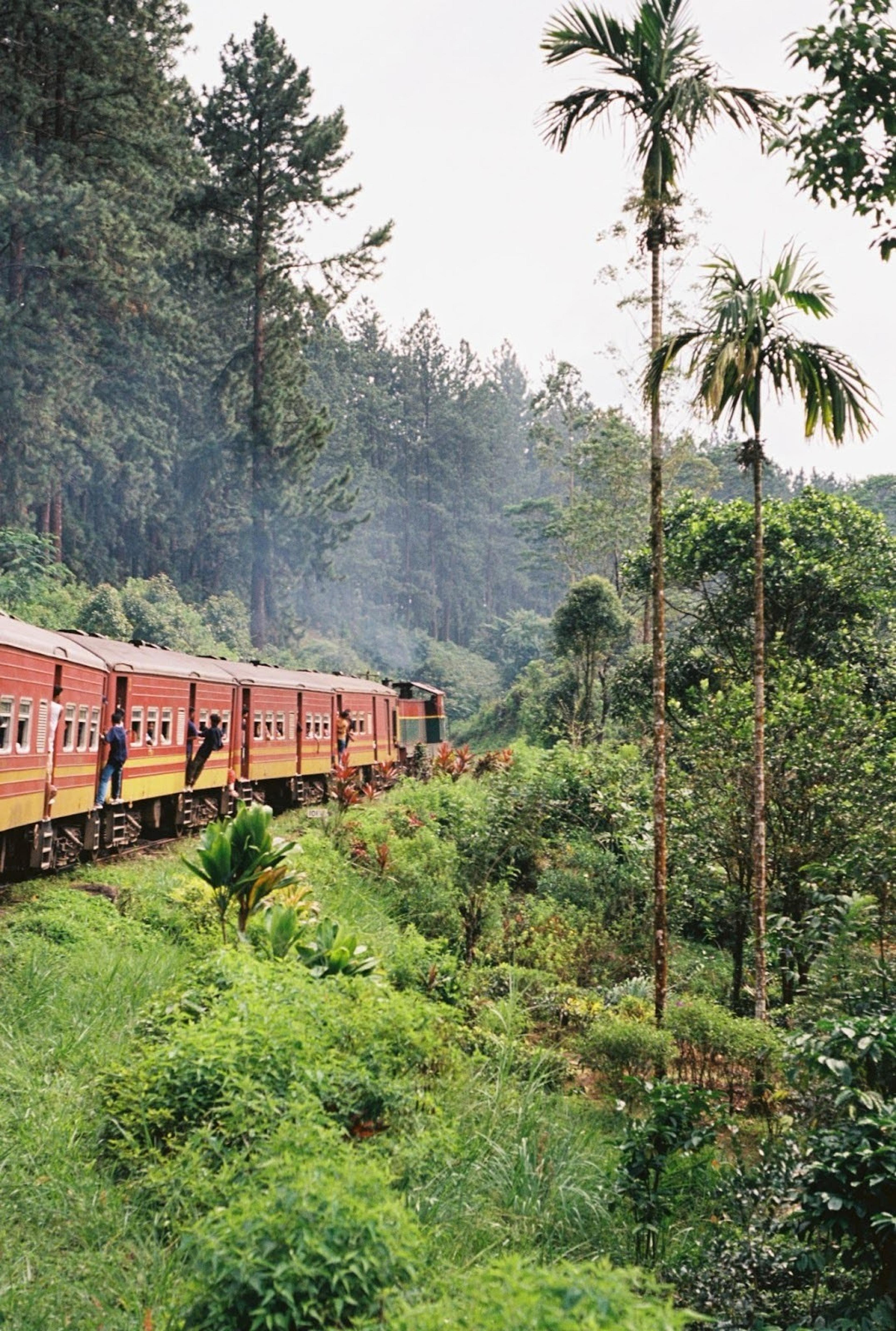 A colorful train travels through the lush, verdant landscapes of Sri Lanka.
