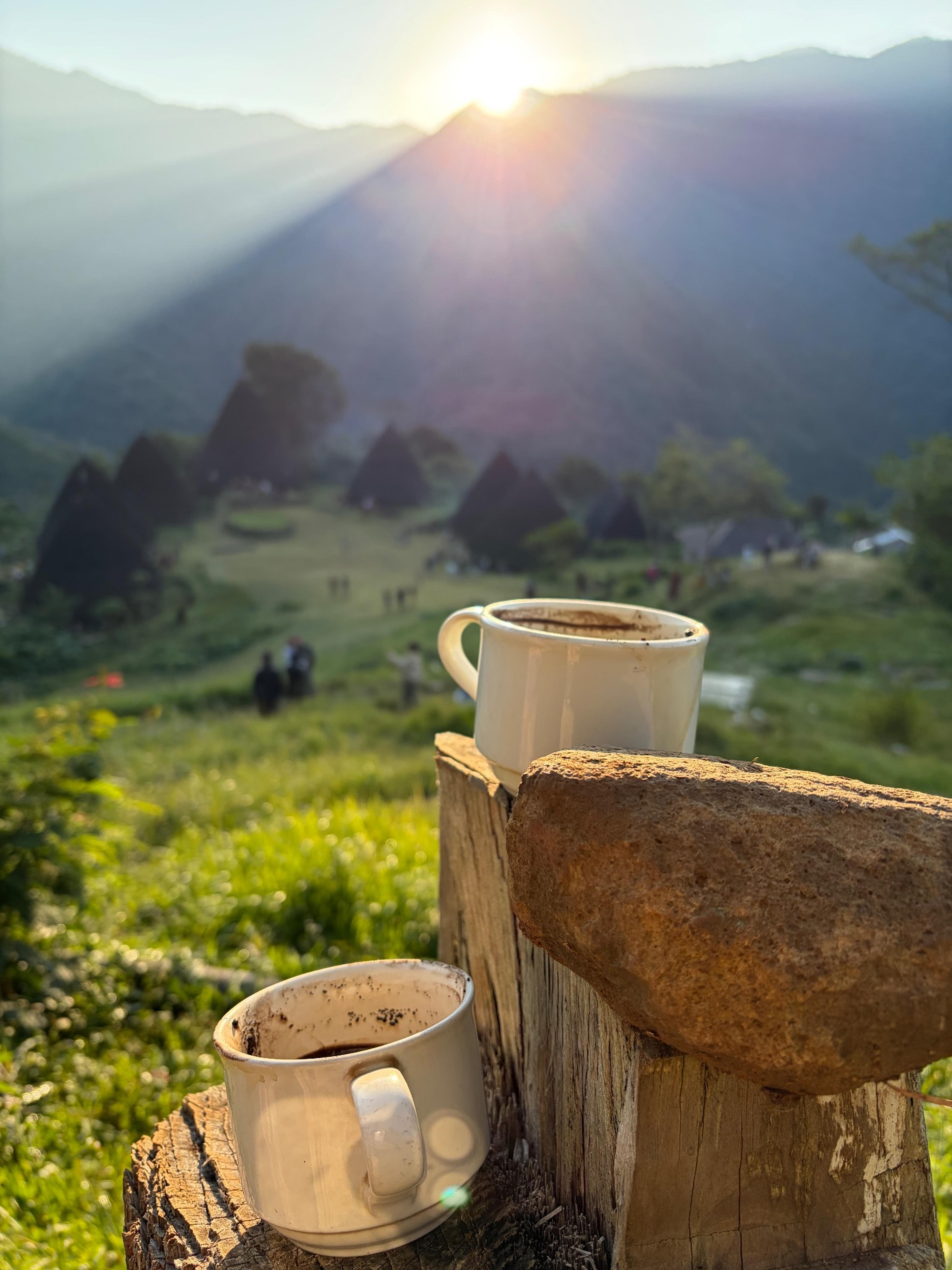 Our reward for trekking through the misty forest...