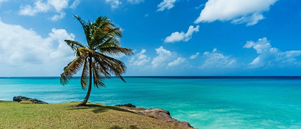 Barbados 🌴in £420s-£500s rtn