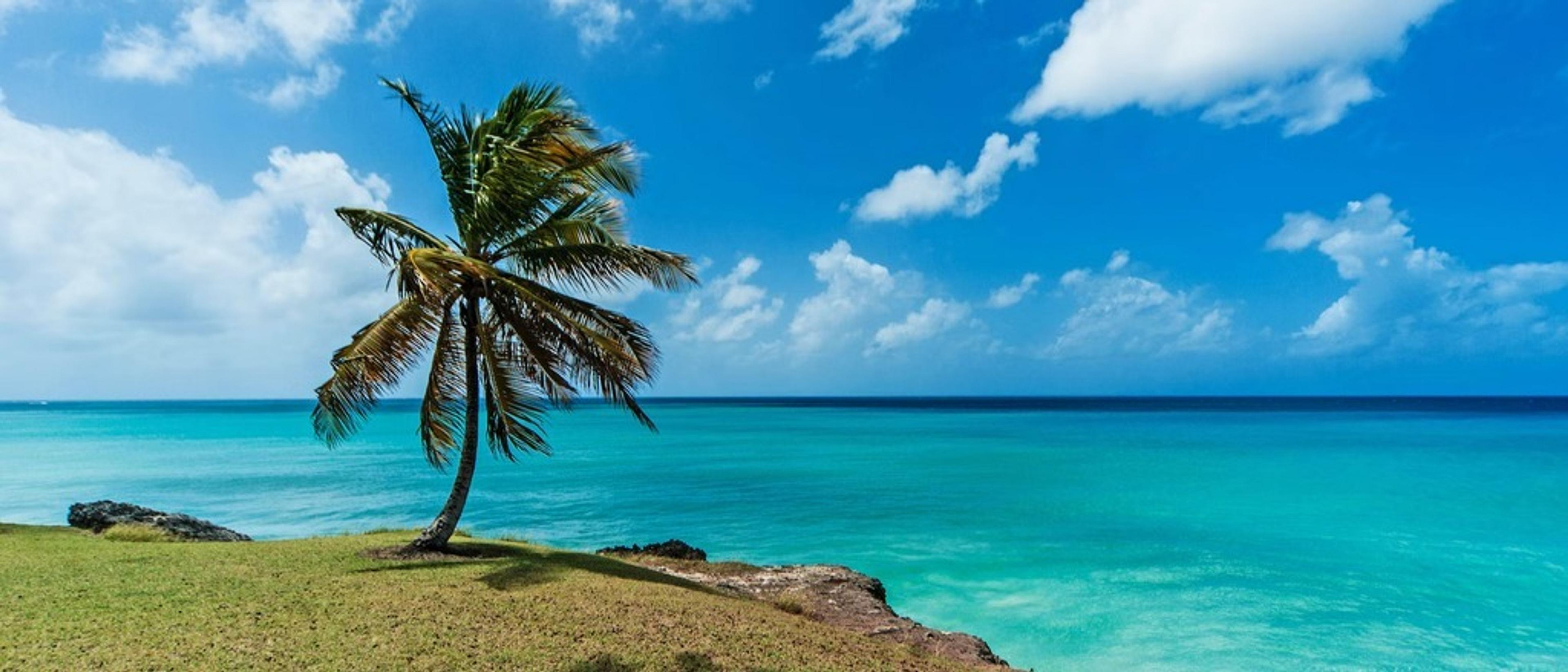Barbados 🌴in £420s-£500s rtn