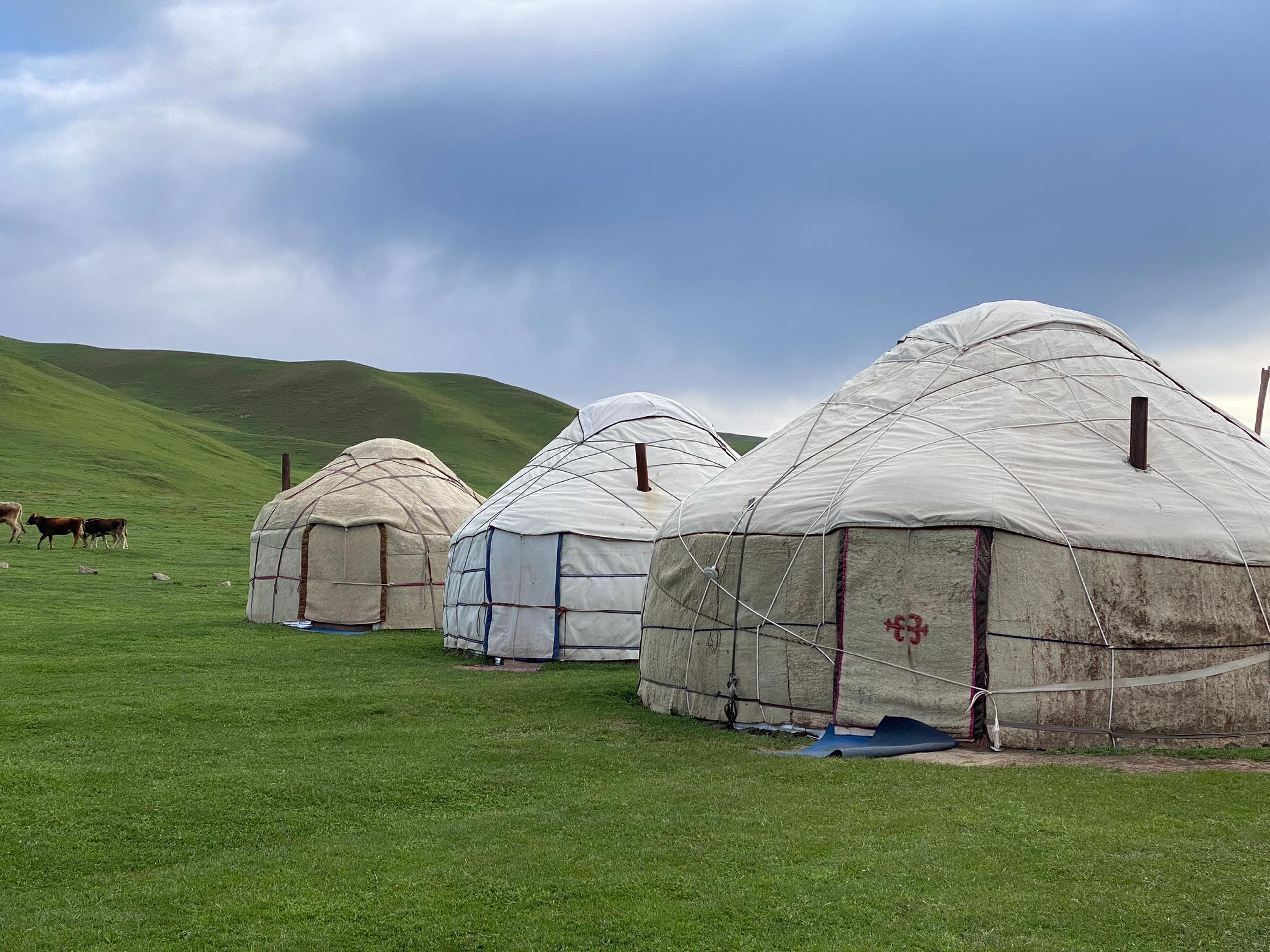 Three yurts stand on the green pastures of the steppe under a cloudy sky.