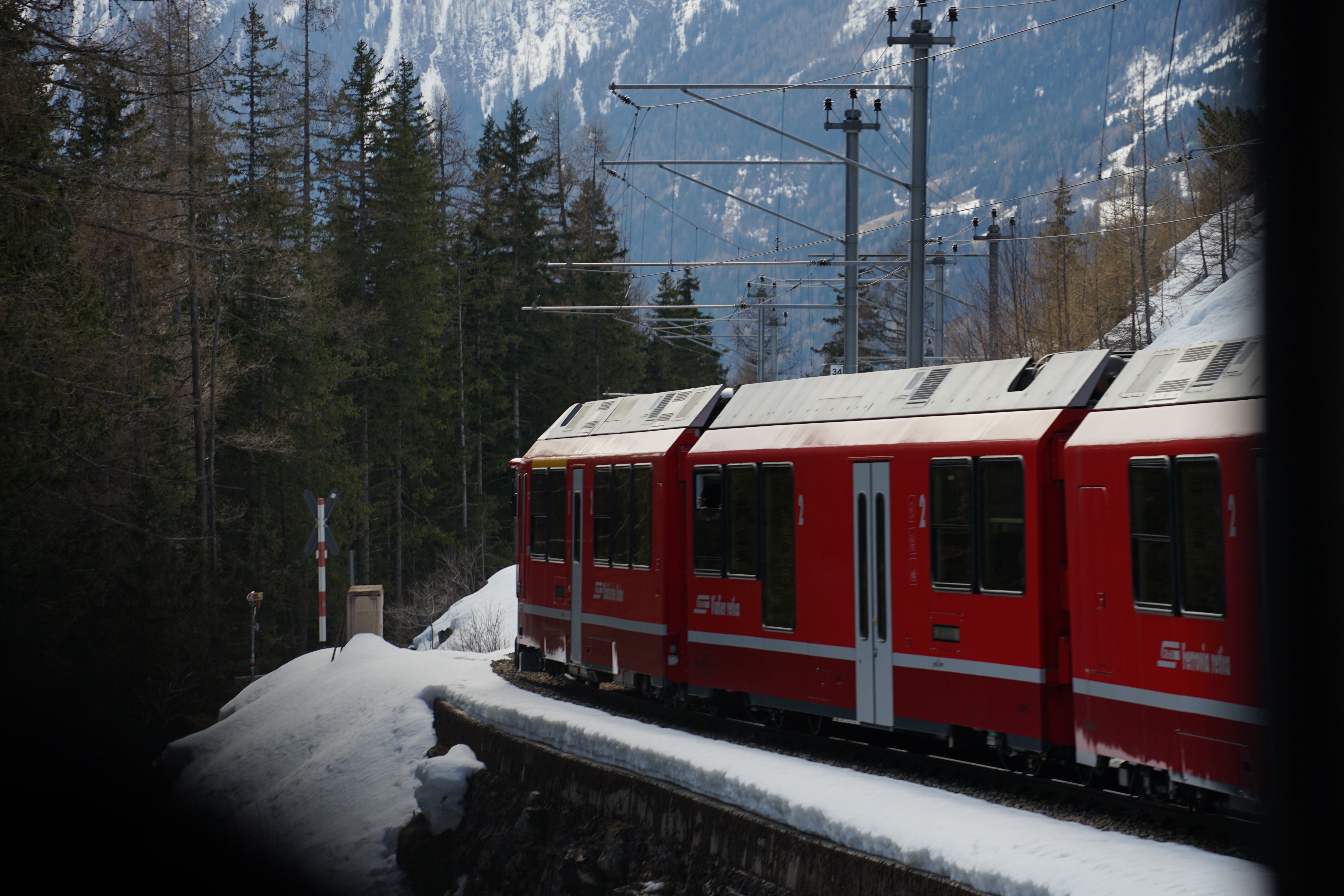 bernina
