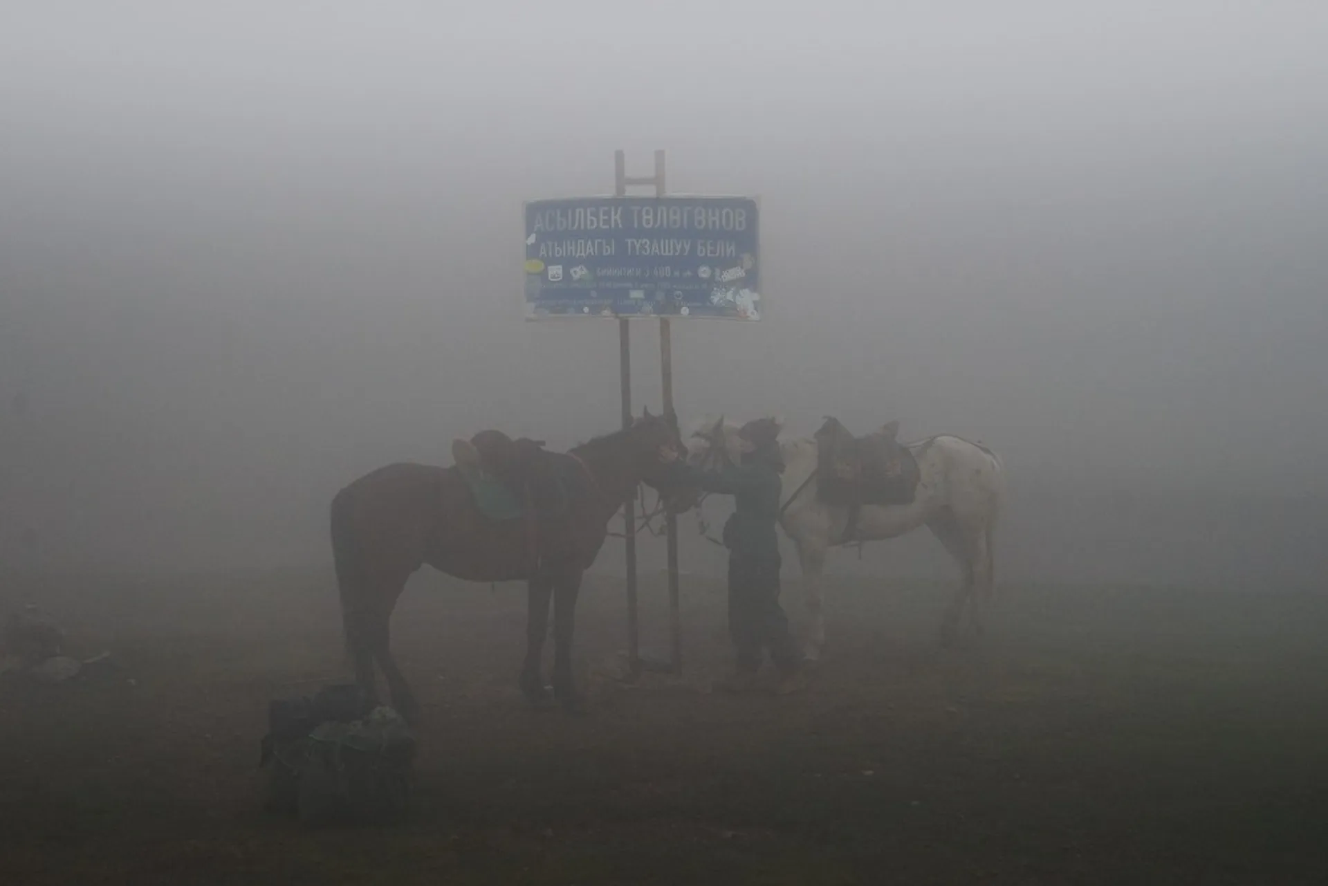 Asylbek Töleubayev mountain pass in Kyrgyzstan, featuring Flight Finder Kash with horses in the dense fog.