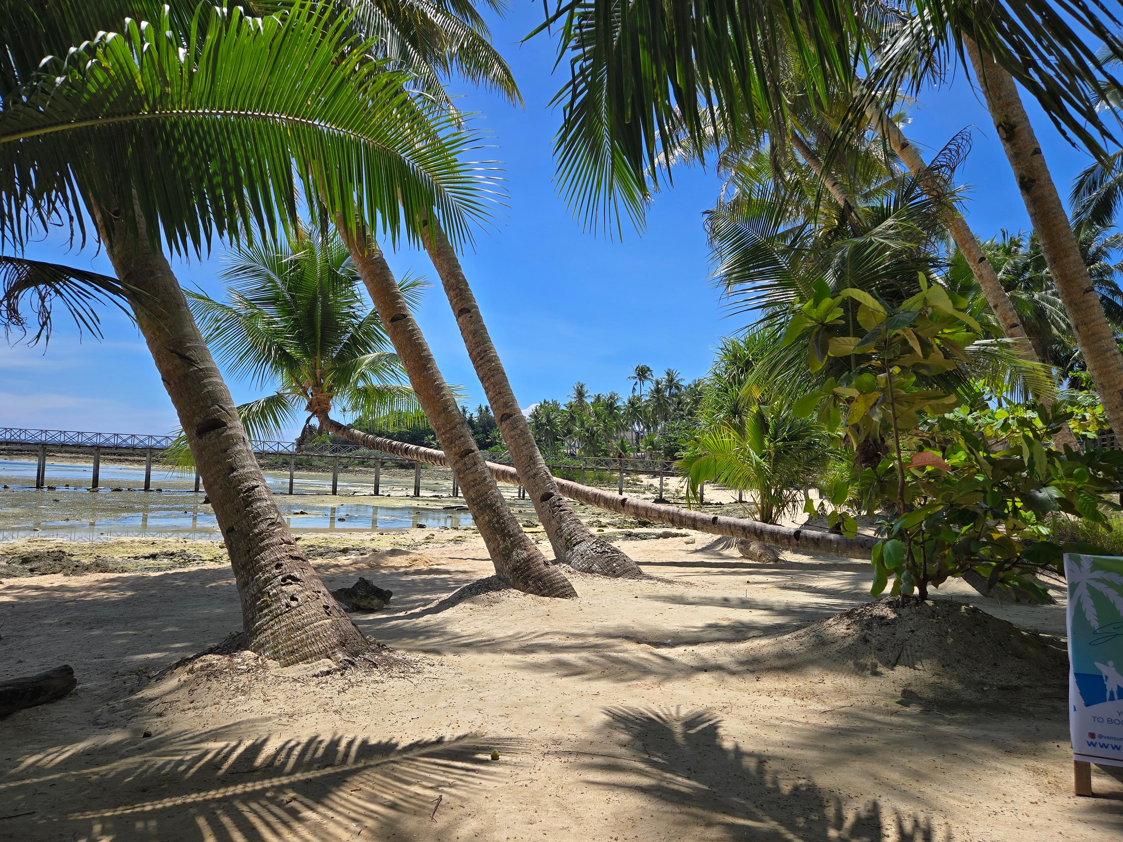 Postcard from GlobetrottingSightseer17410