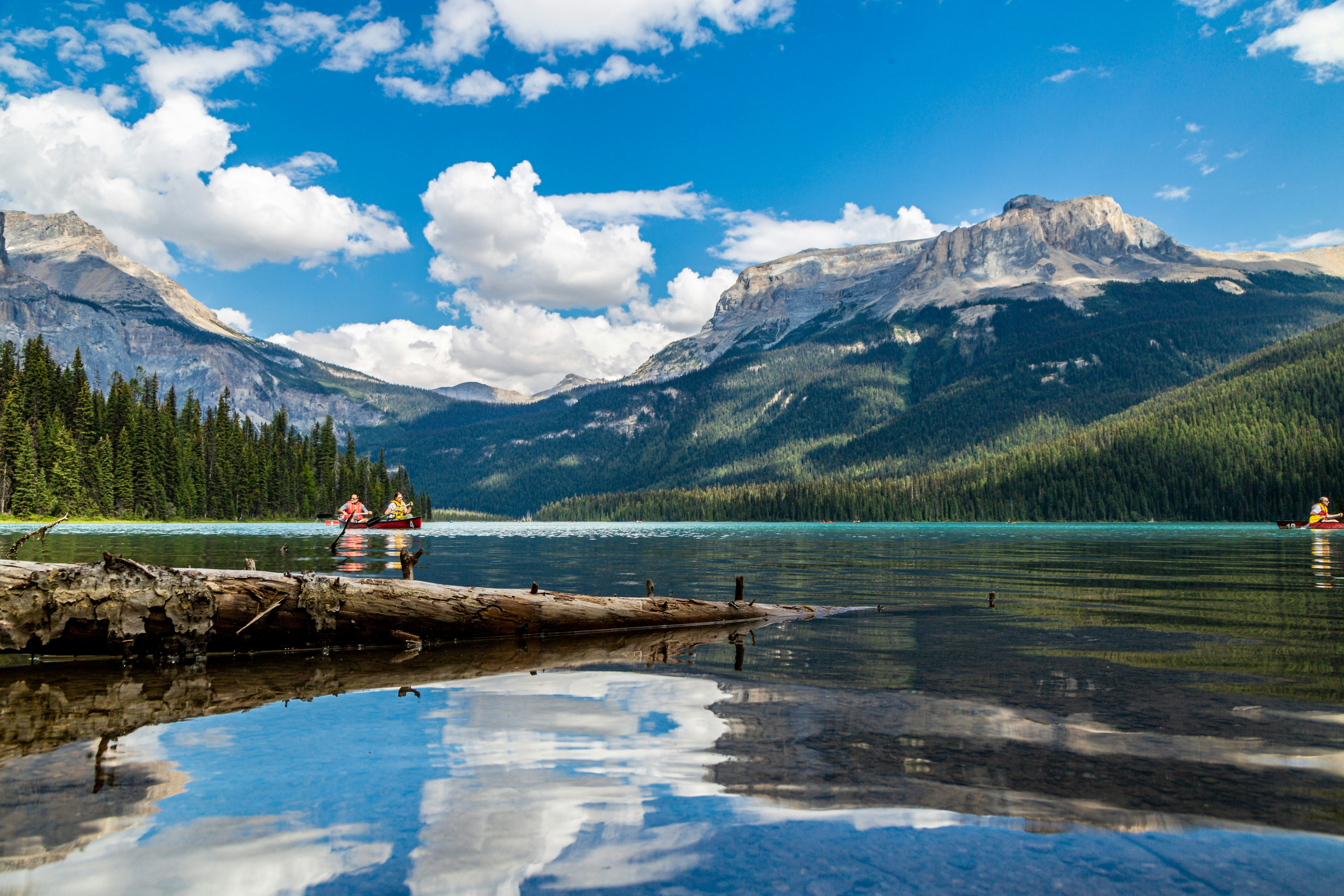 Canoes glide across the tranquil waters of Emerald Lake, nestled within the Canadian Rockies' Yoho National Park.