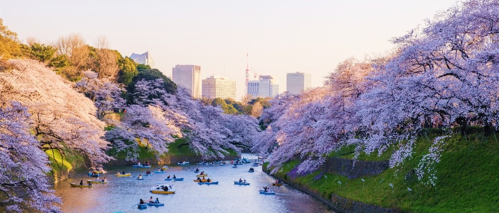 Tokyo 🗾 at $670 RT