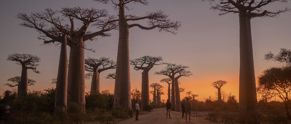 Madagascar ☀️ at £590 rtn