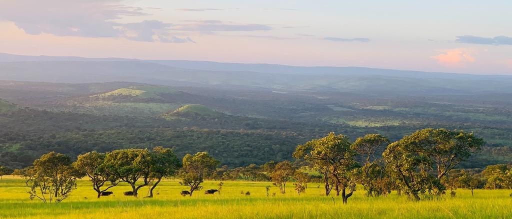 London to Burundi  at £329 rtn