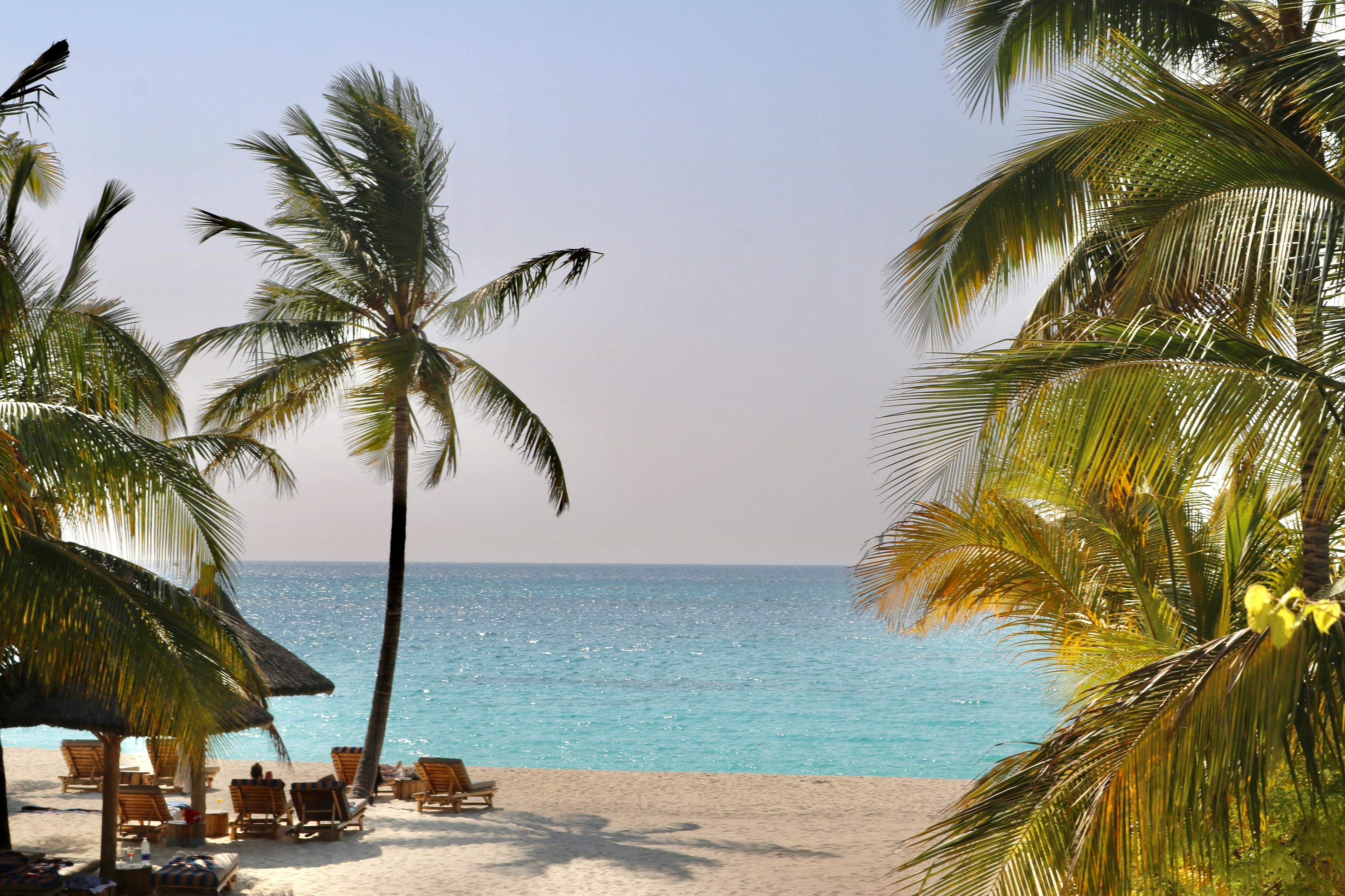 A picturesque tropical beach scene in Zanzibar featuring clear blue waters, palm trees, and sun loungers under thatched umbrellas.