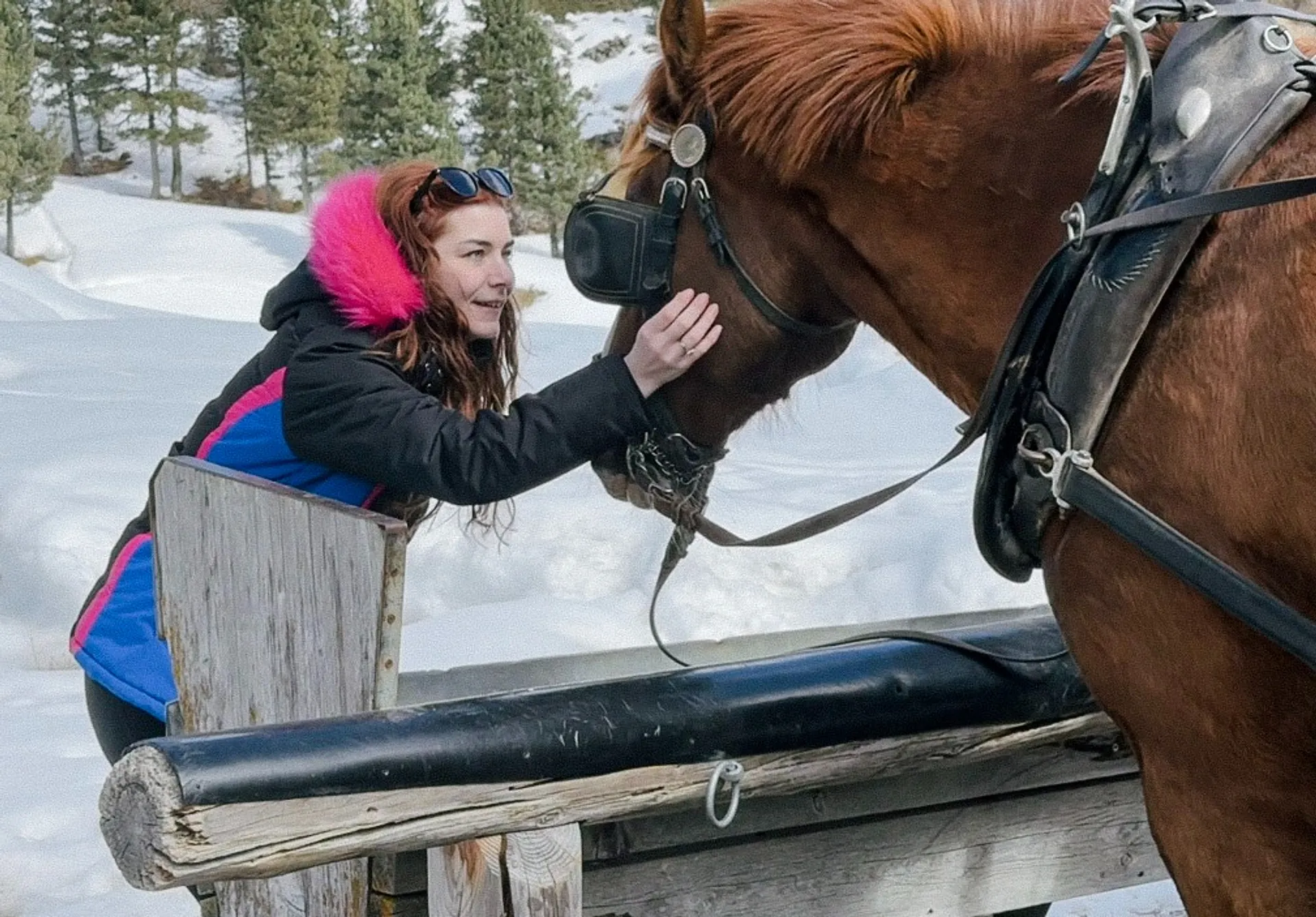 A woman pets a brown horse in a snowy forest landscape, potentially in a winter scene.