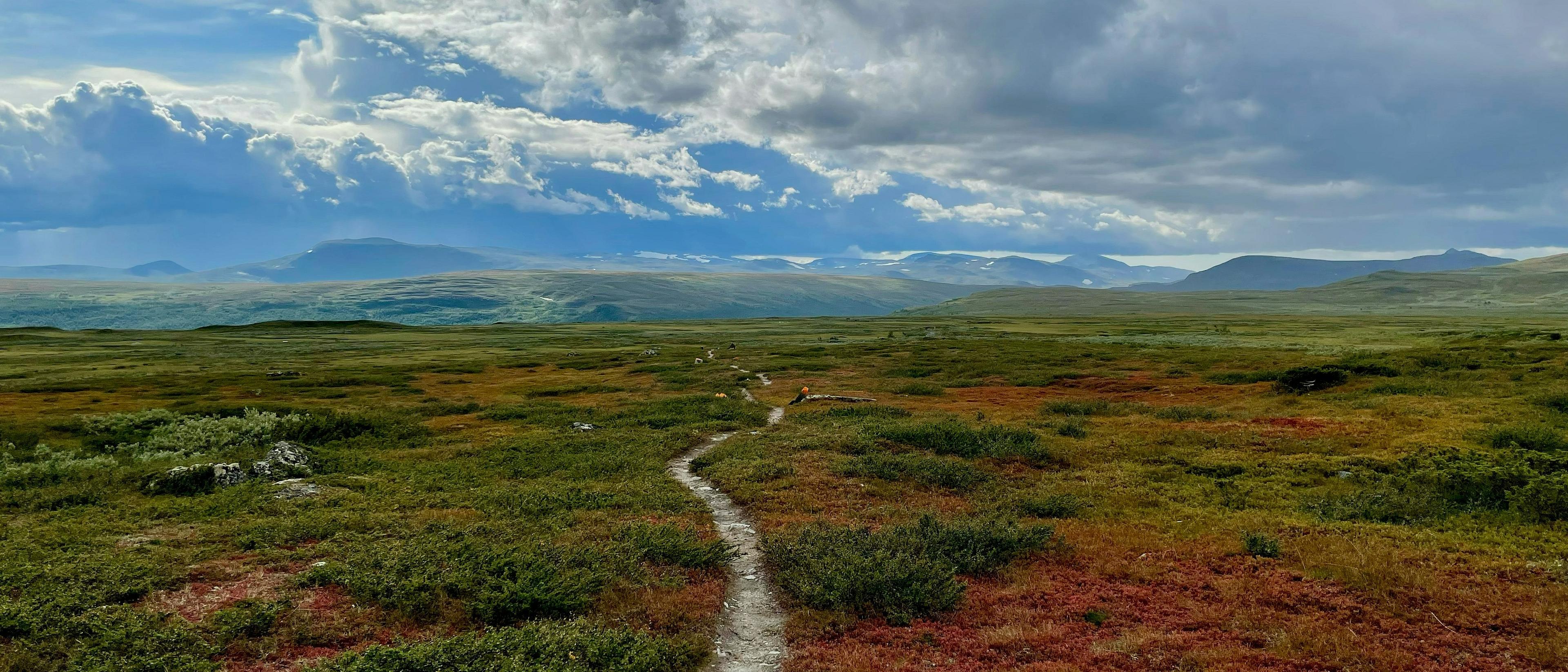 A winding path meanders through the vibrant tundra landscape
