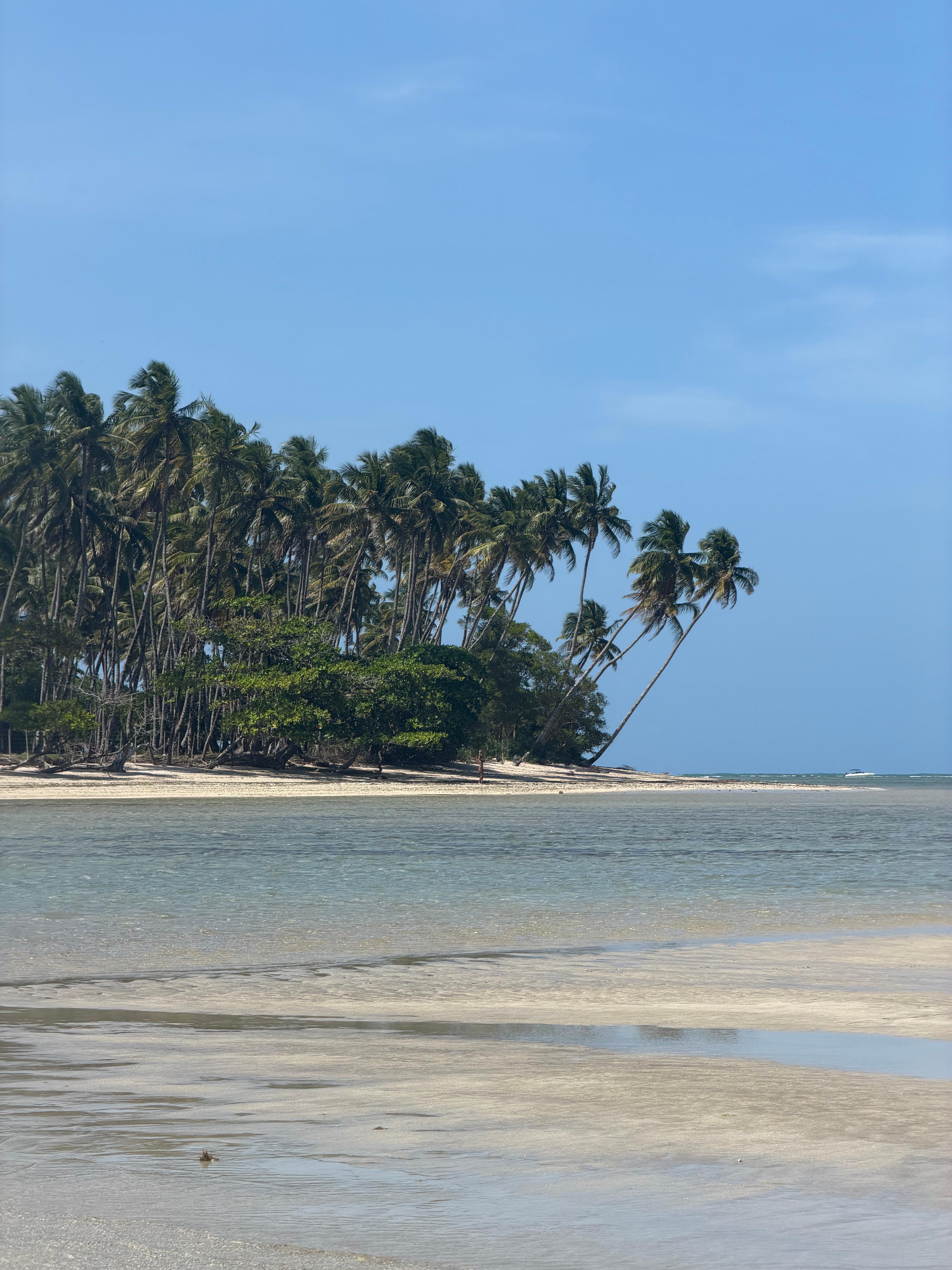 Postcard from IndomitableGoer83487