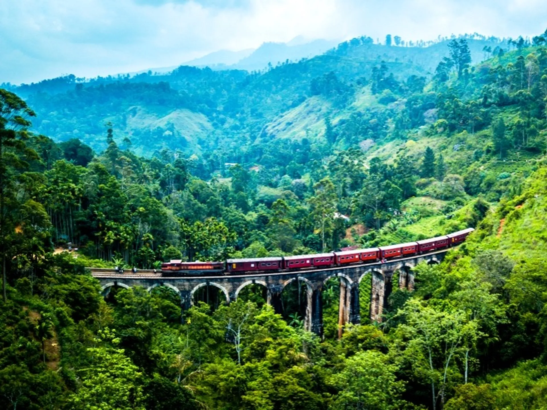 Train crossing a bridge amid the jungle