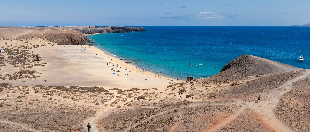 The Canary Islands 🐬 in €160s-€180s rtn