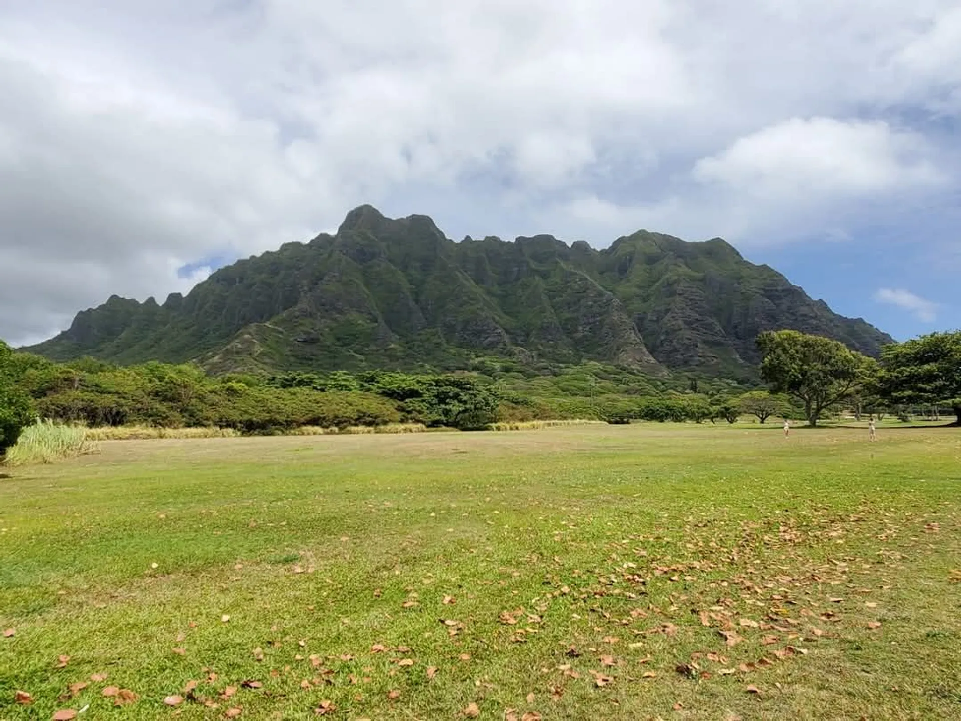 Hawaii completely stole my heart. 🌺🤍