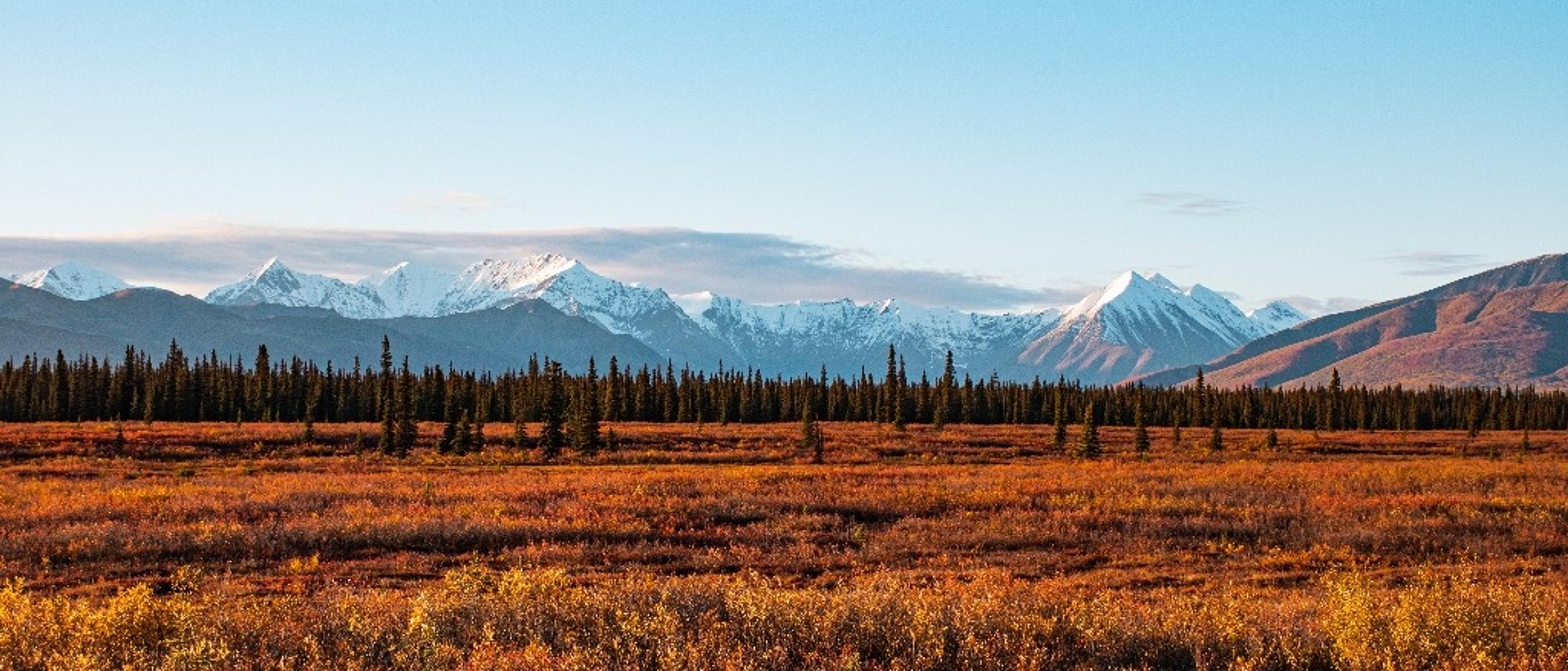 Alaska 🏞️ in $230s-$410s RT