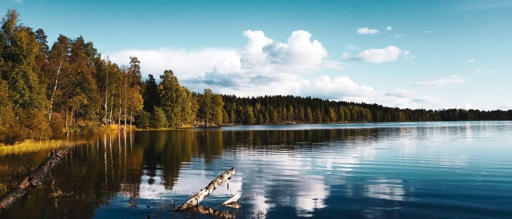 Scandinavia  in €70s-€90s rtn