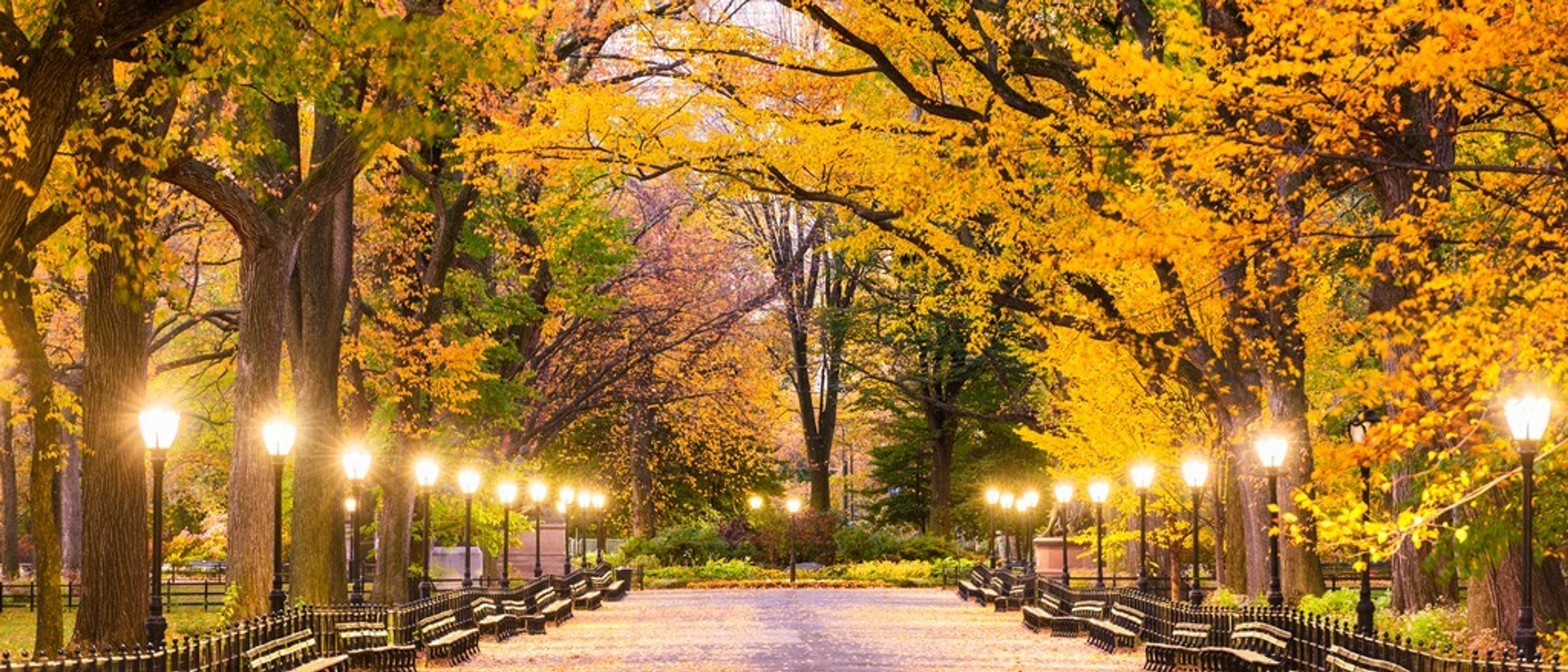 New York 🚕 in £400s-£460s rtn 