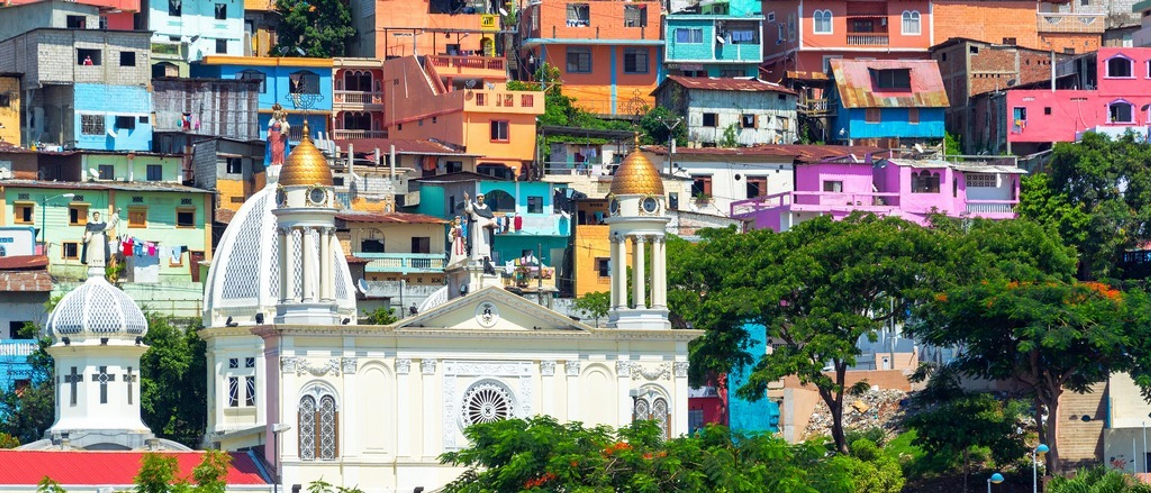 Ecuador 🦙 in $240s-$360s RT