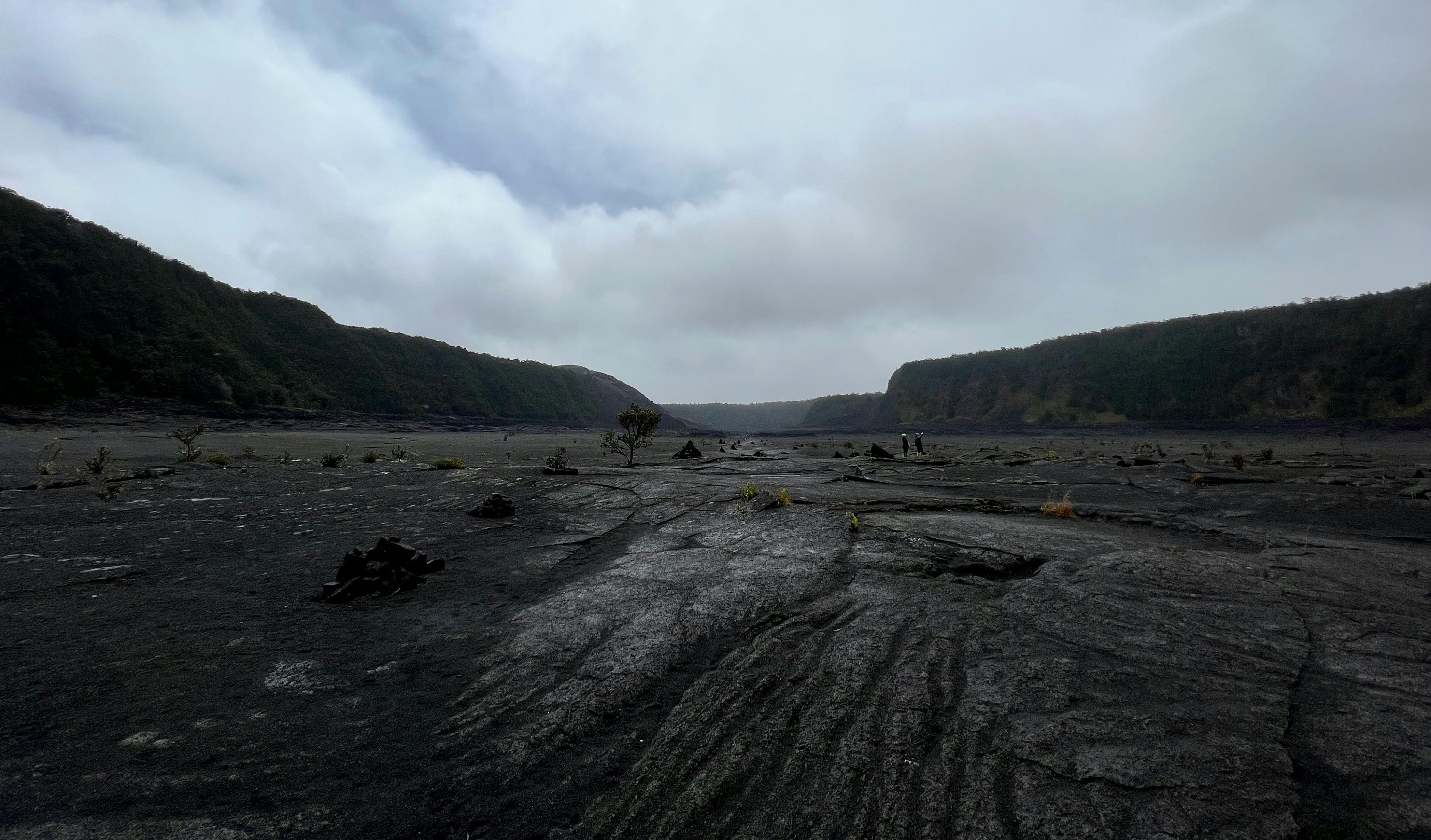 A vast, rocky expanse with sparse vegetation is framed by steep, forested cliffs under a cloudy sky, resembling the Kilauea Iki Crater in Hawaii.