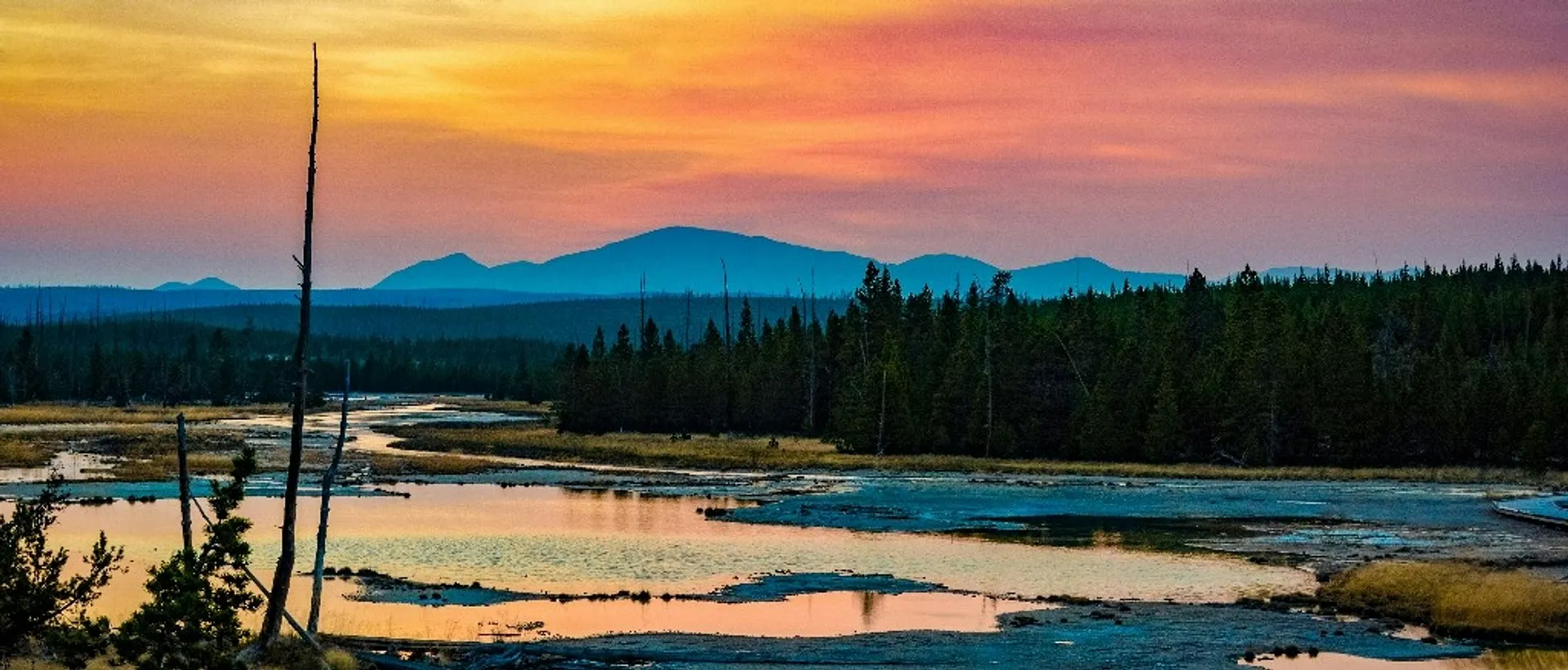 yellowstone NP