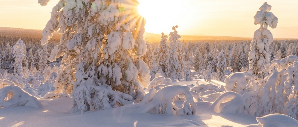 Swedish Lapland 🐻‍❄️ in $380s-$410s RT