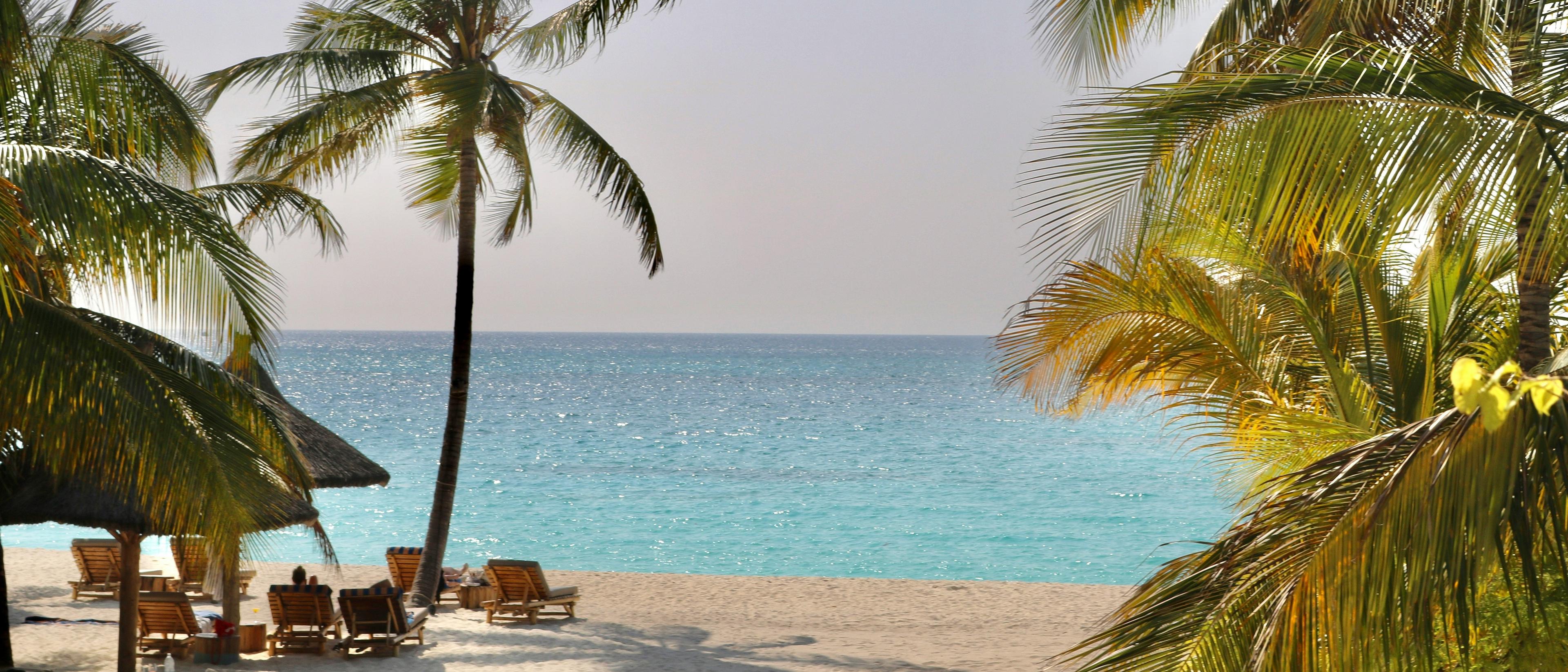 Sun-kissed sandy shores and swaying palm trees create a serene tropical setting in Zanzibar