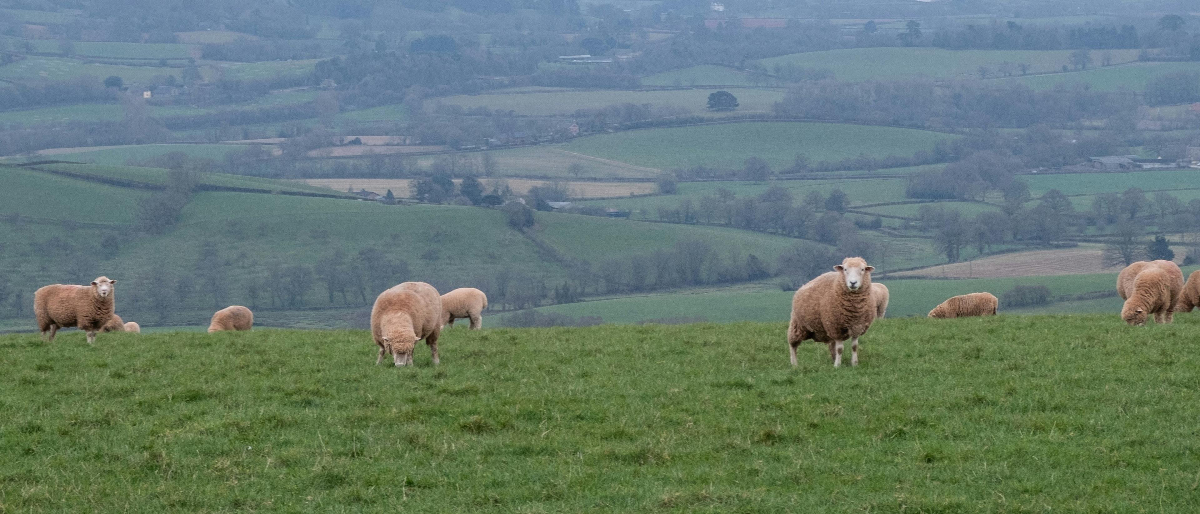 Bristol  in €40s-€50s rtn 