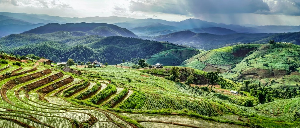 Thailand 🌿 in €510s-€560s rtn