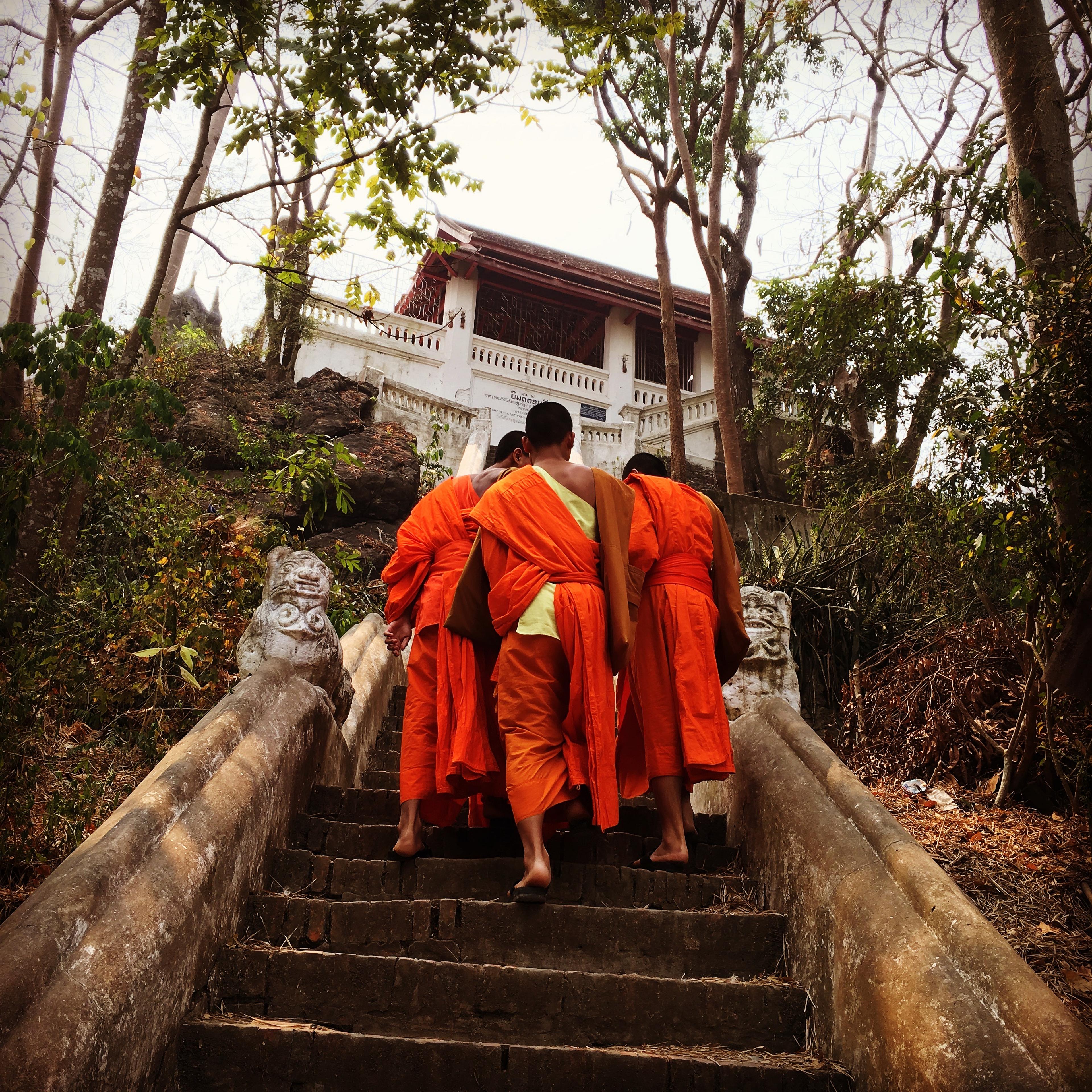 A moment in the life of monks