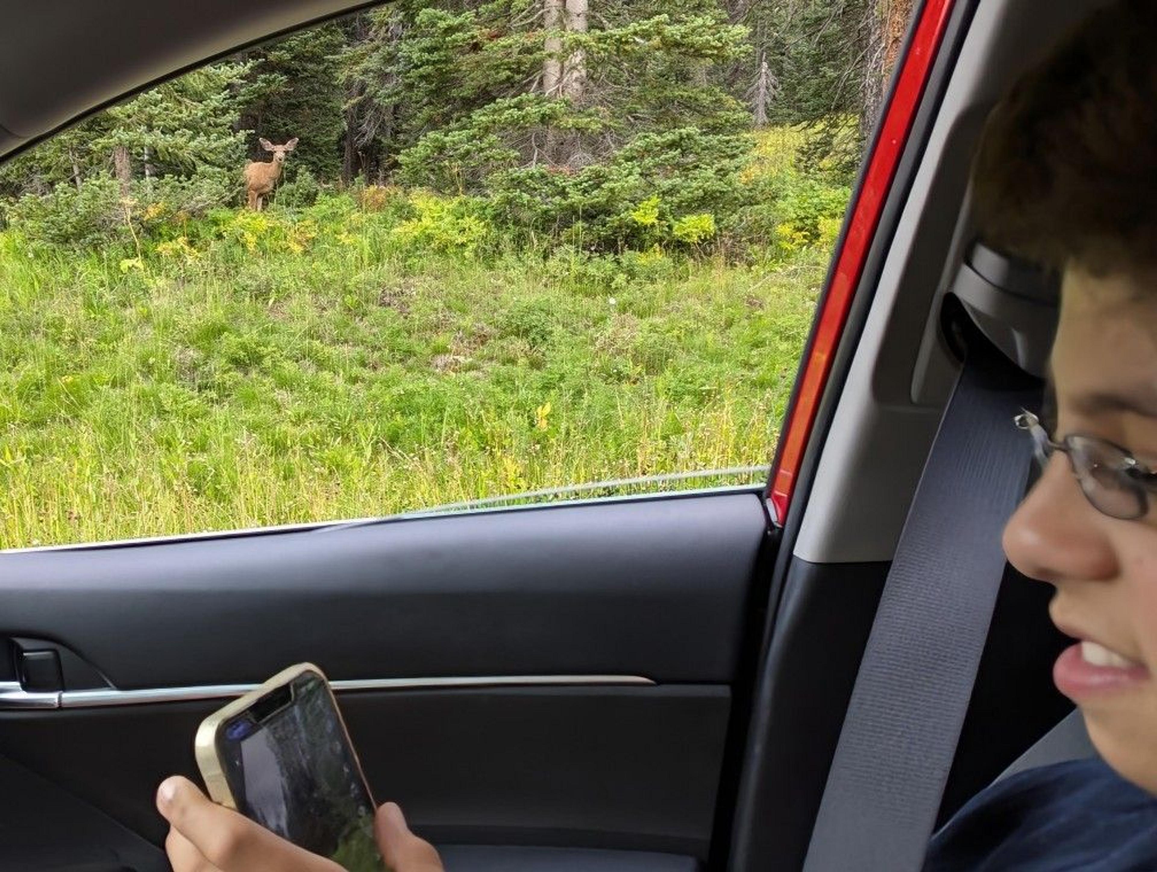 No beautiful moments ever came from looking at a screen