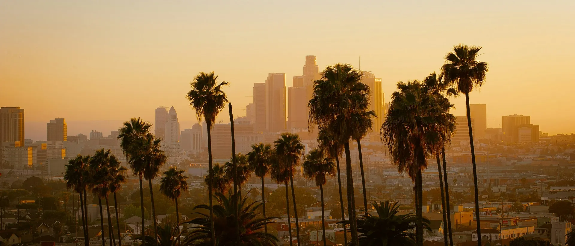 A picturesque view of downtown Los Angeles framed by tall, silhouetted palm trees against a warm sunset.