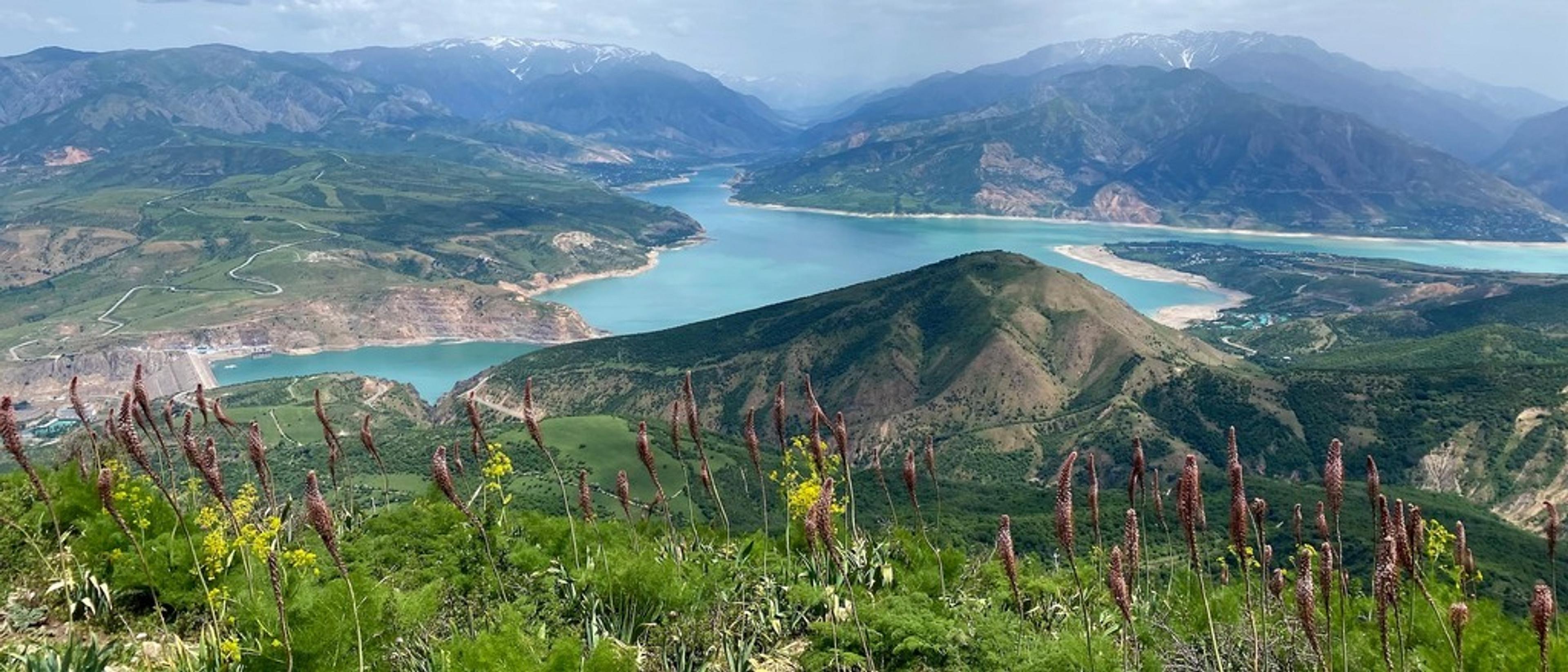 Uzbekistan 🌄 in $940s RT