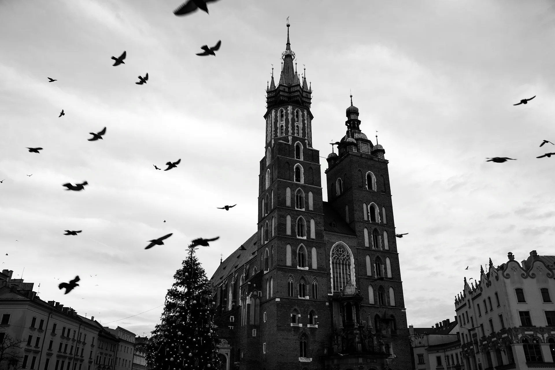 Birds fly over St. Mary's Basilica in Kraków's main square, captured in a monochrome photograph.