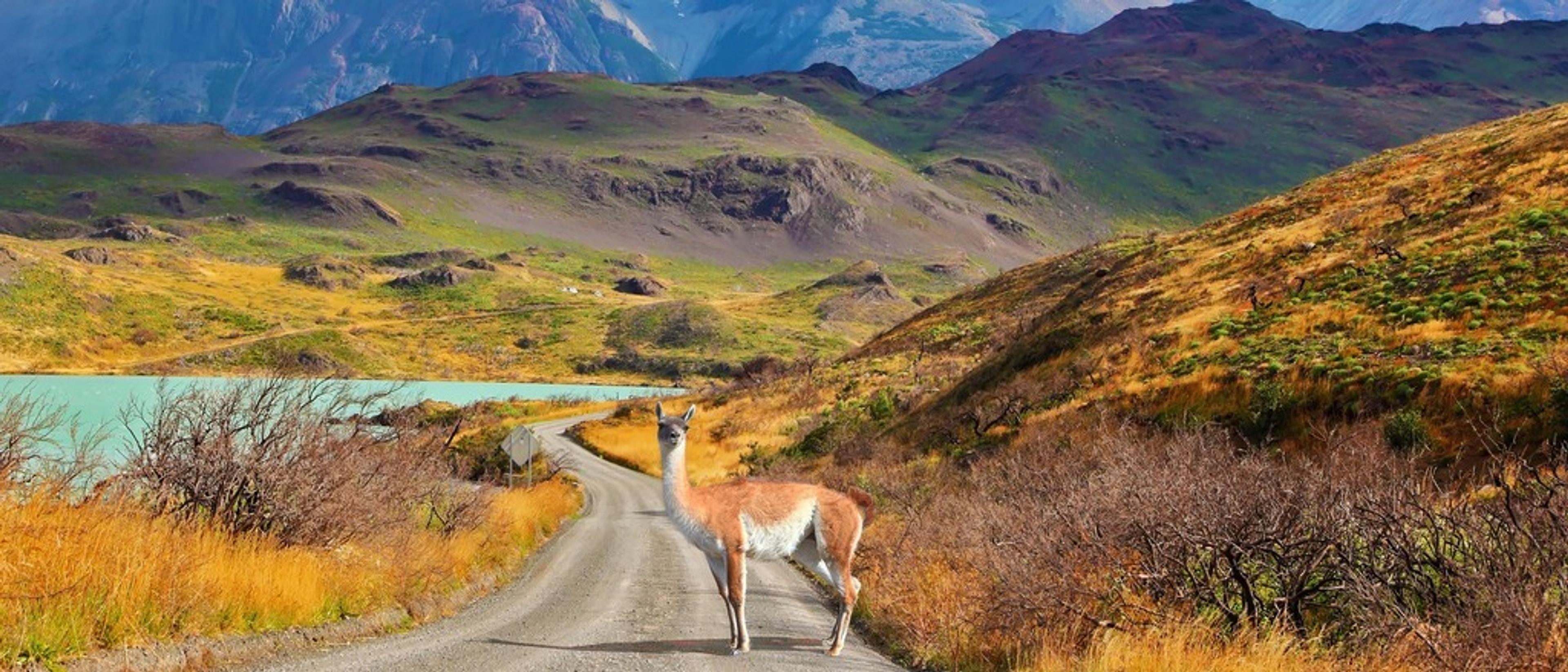 Santiago, Chile 🦙 at $667 RT