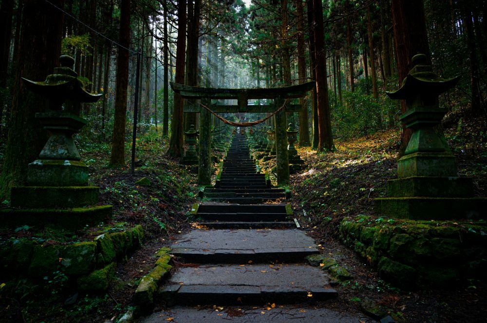 Stone steps lead through a tranquil forest to a traditional torii gate in Japan.