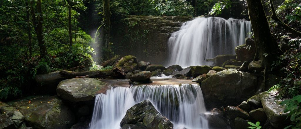 Borneo 🦧 in €520s rtn