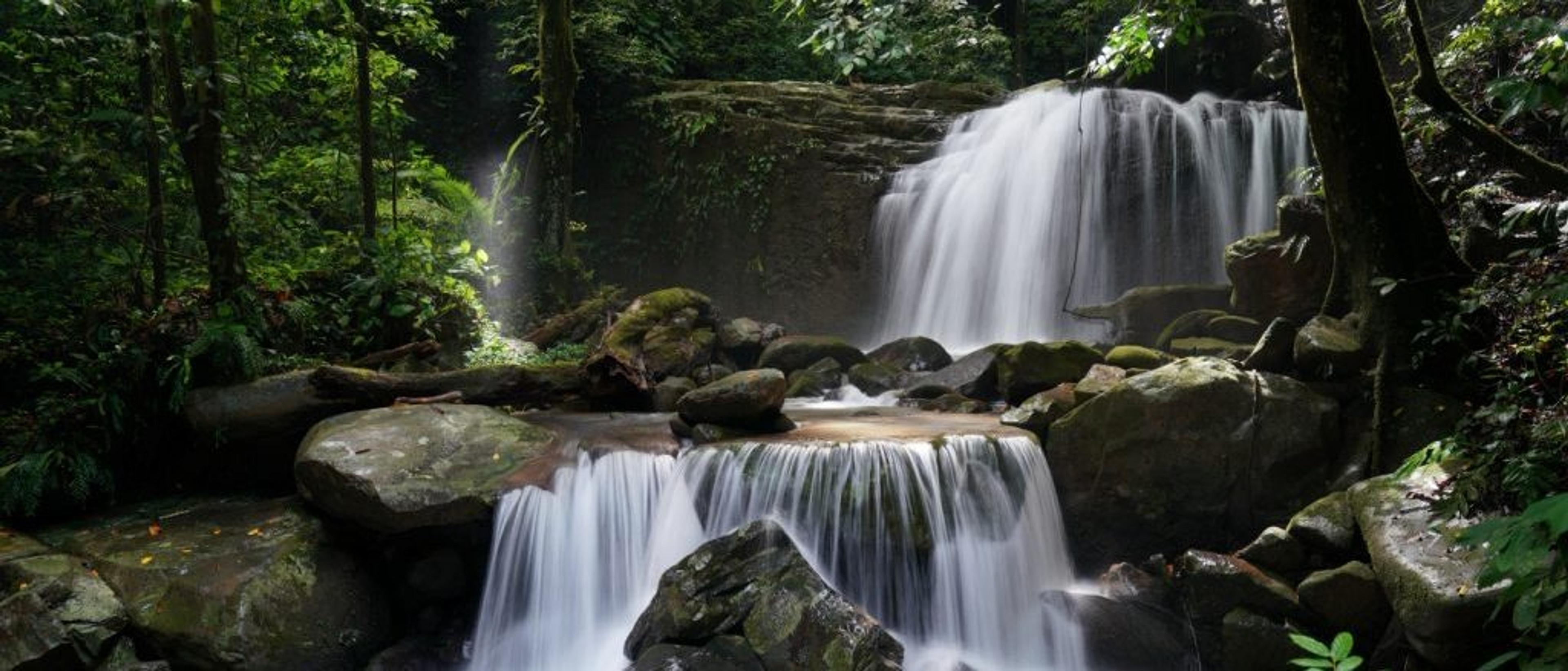 Borneo 🦧 in €520s rtn