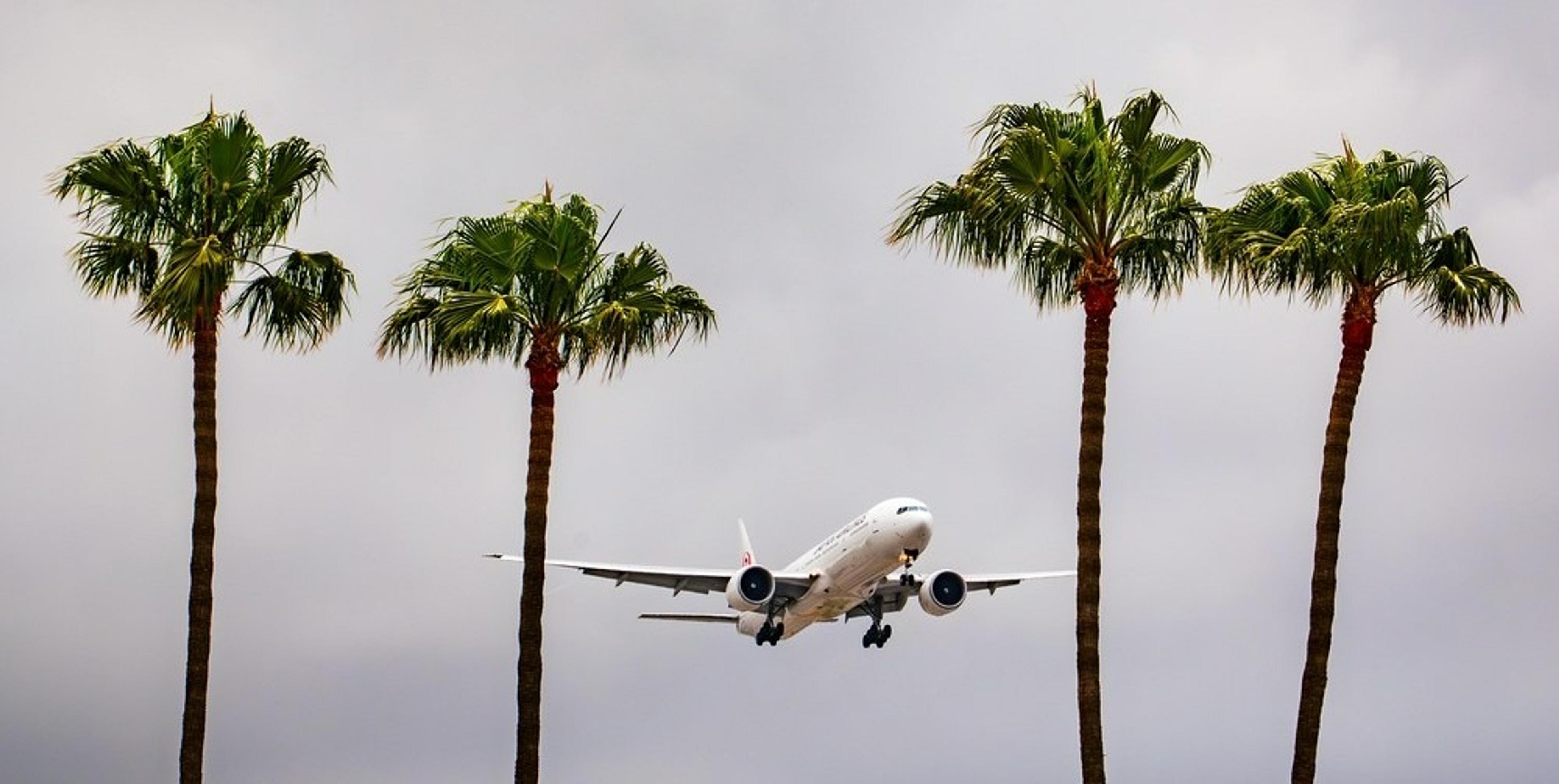 An airplane approaches Los Angeles International Airport, framed by tall palm trees.