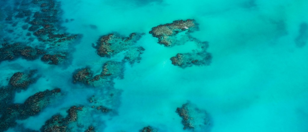 South Caicos 🏝️ in $260s-$410s RT
