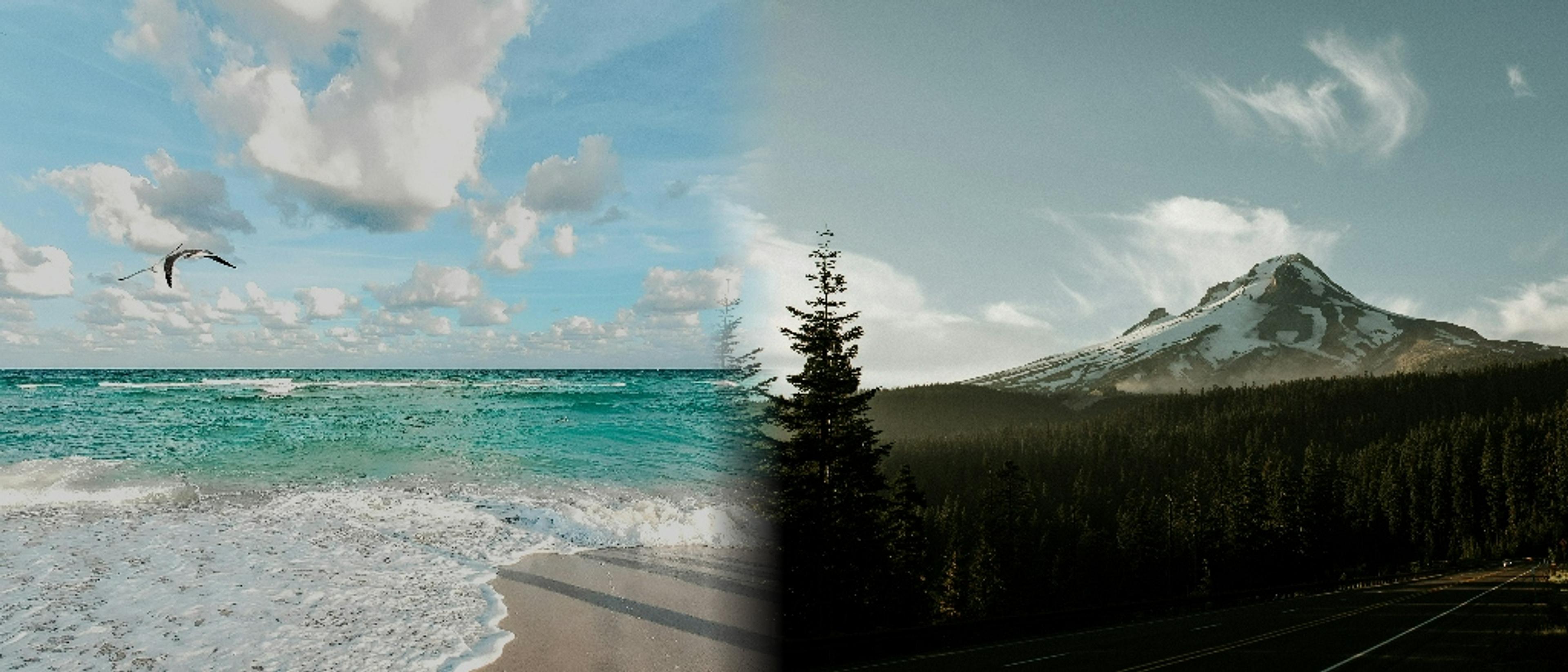 Miami to Portland 🌴🌹 and vice versa at $197 RT