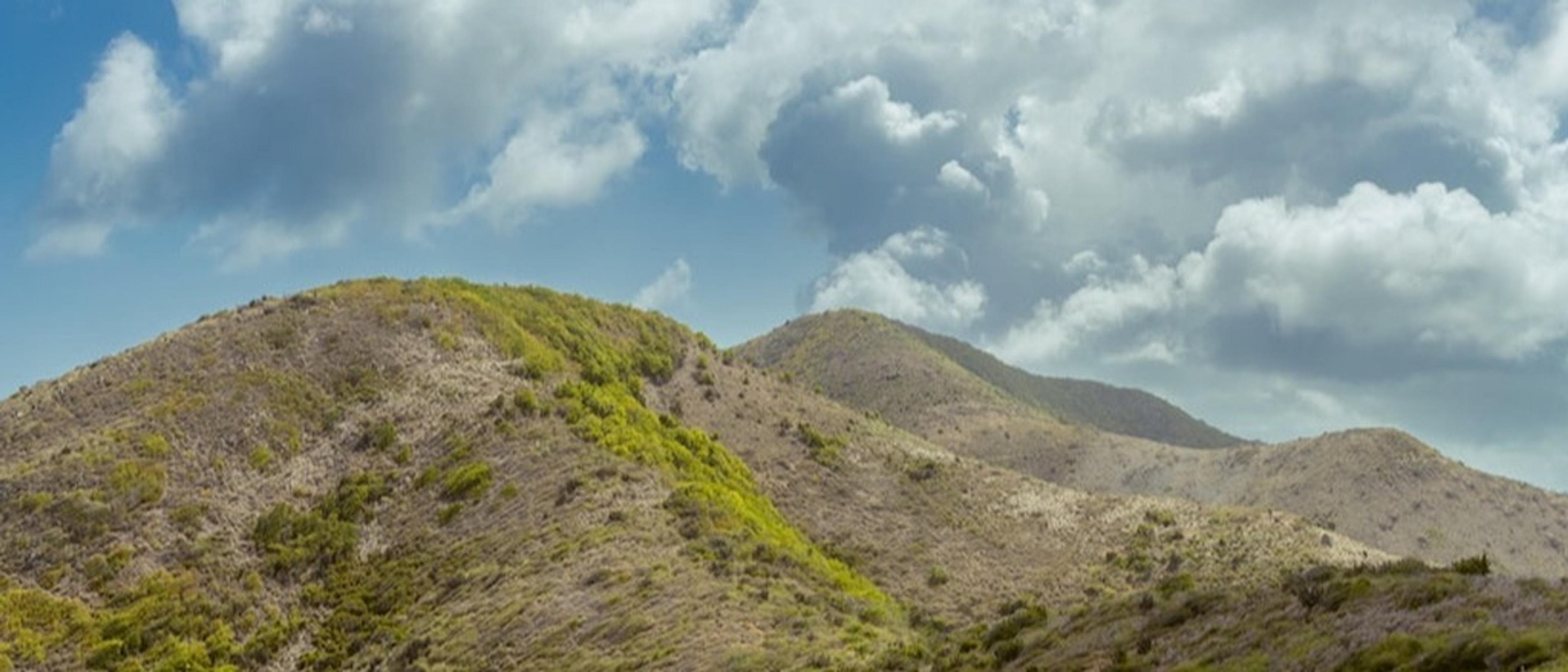 St. Croix, USVI 🍈 at $208 RT