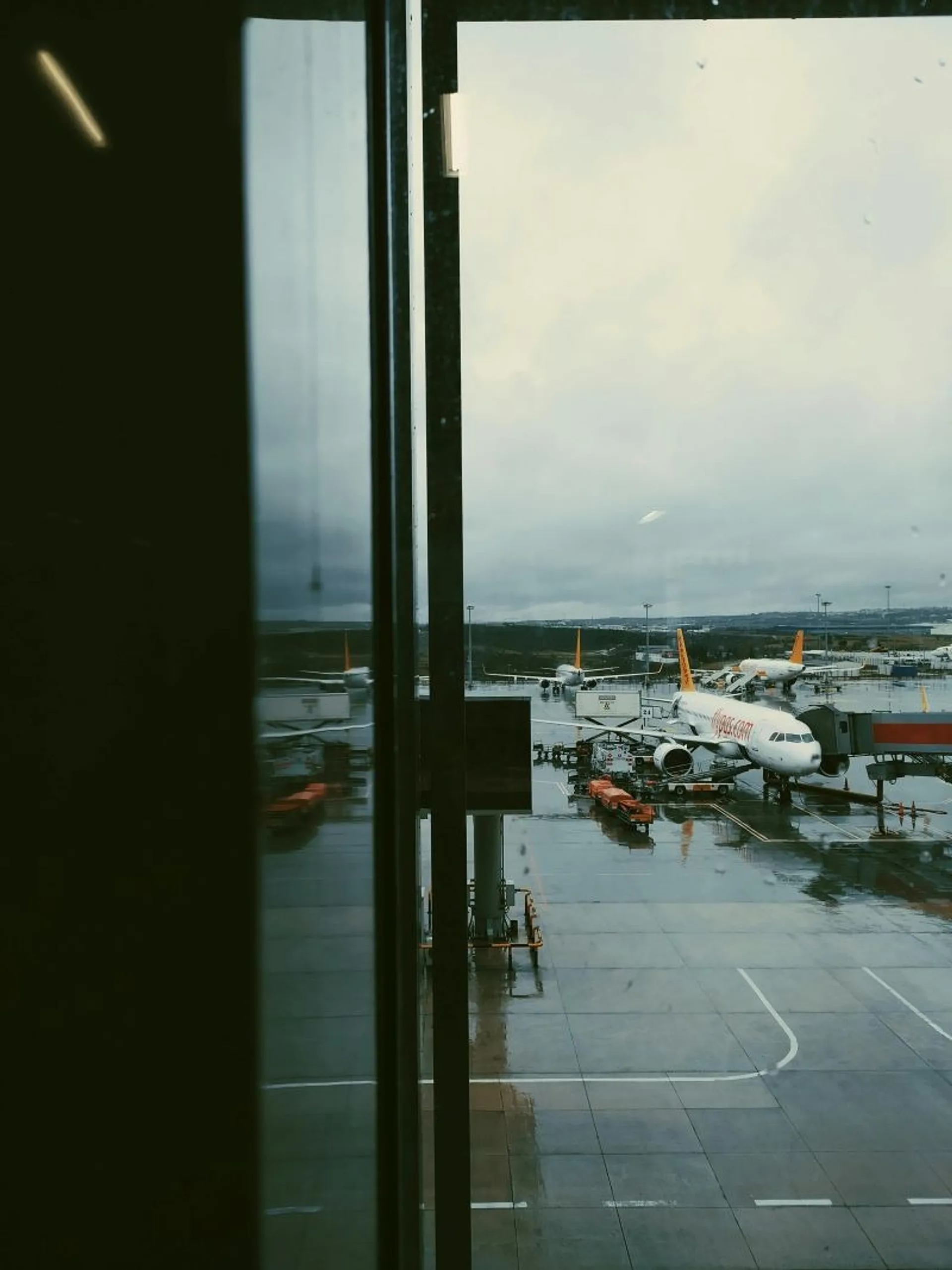 View of a Pegasus plane on a wet day